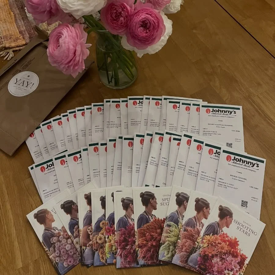 And so it begins again!!🌱🌥️I&rsquo;m about to become a basement dweller real quick and I couldn&rsquo;t be happier!