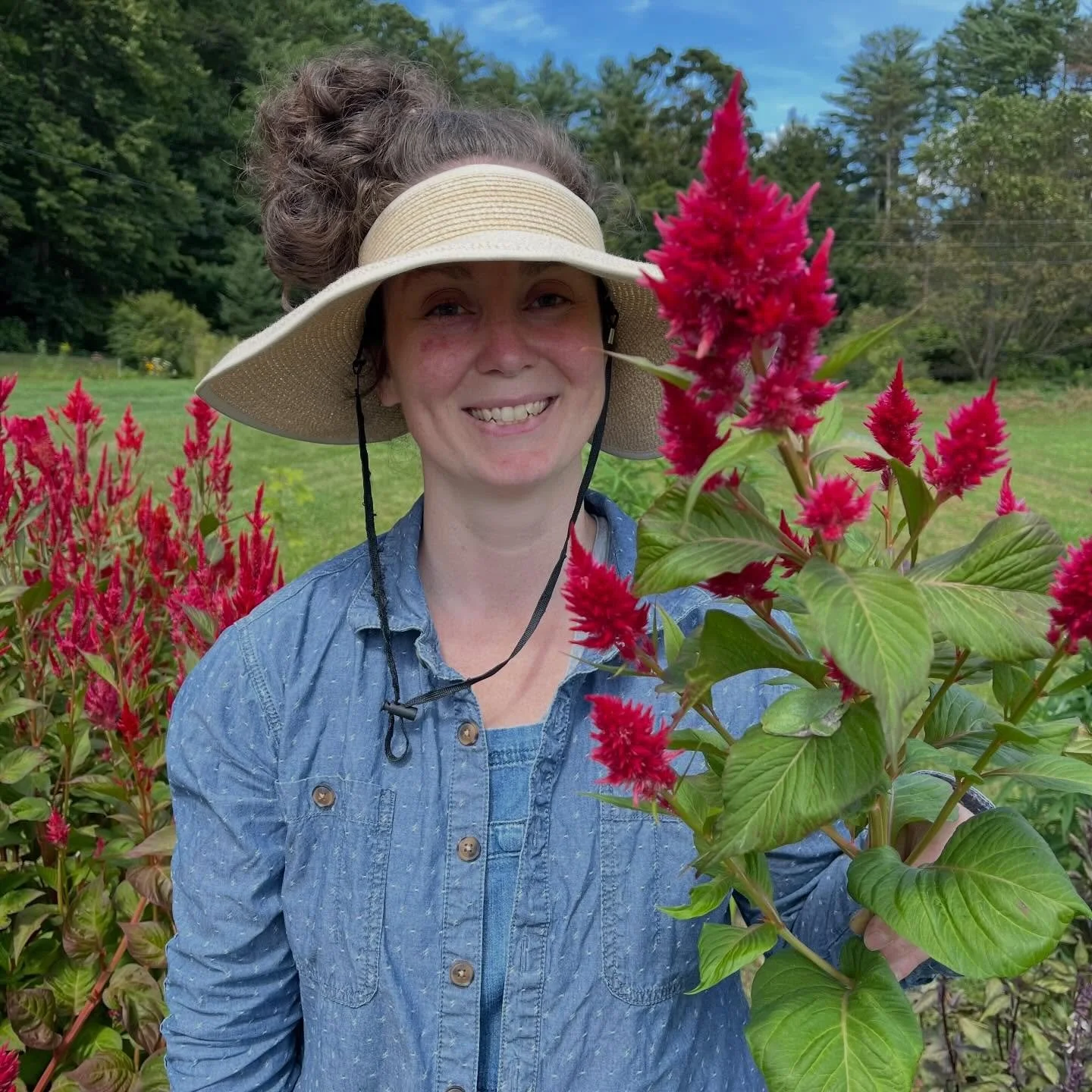 The many faces of our resident gray treefrog/s and an accurate representation of what I actually look like harvesting👩🏻&zwj;🌾

We named our frog friend Jacque and he particularly enjoys the shade provided by the zinnias and celosia, a frog of fine