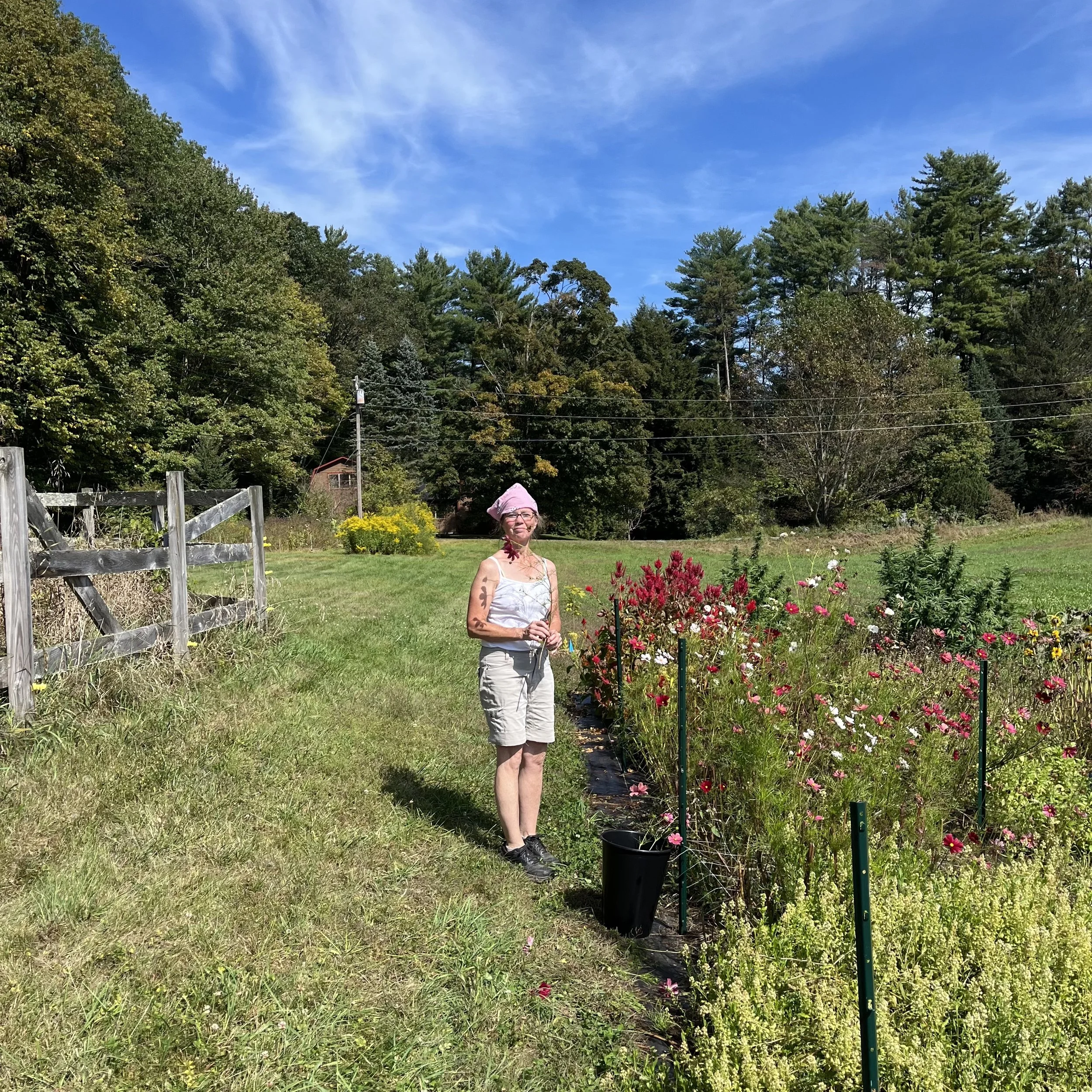 A woman with a pink headscarf and glasses standing next to a flower bed with pink, red, and white flowers in a grassy field on a sunny day with blue sky and trees in the background.