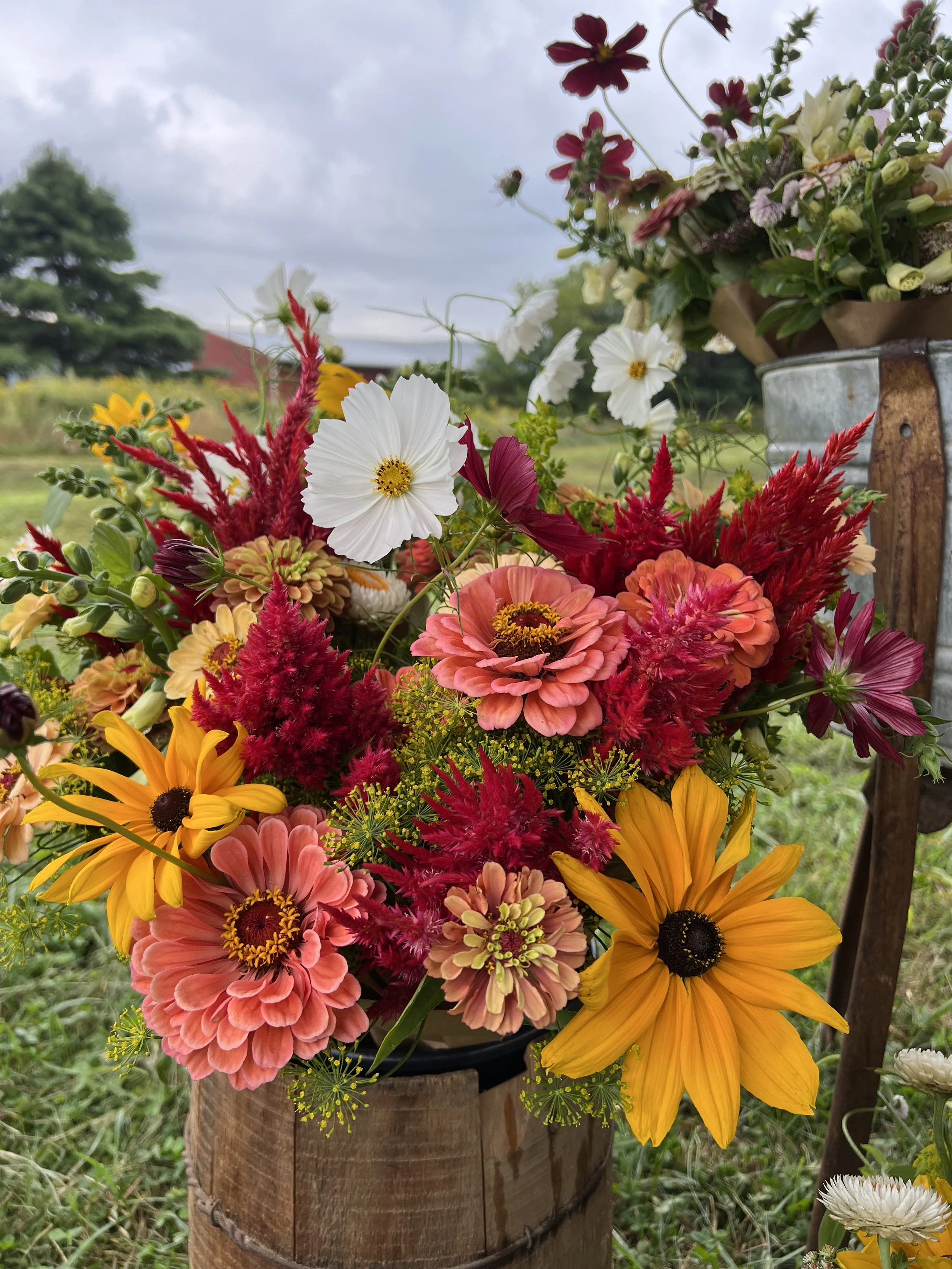Colorful mixed flower bouquet with white, pink, yellow, and red flowers in a wooden bucket outdoors on a cloudy day.