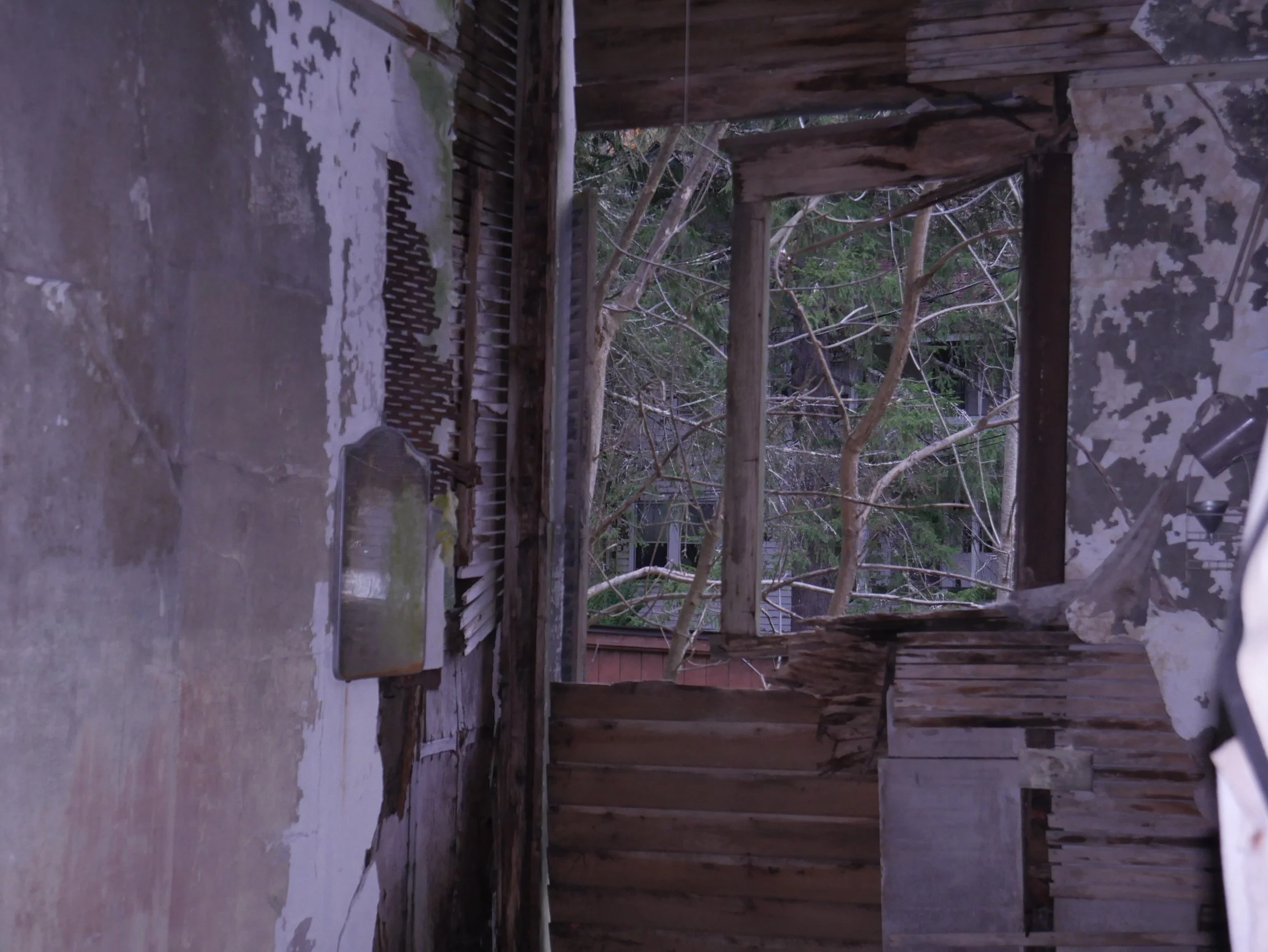 P1150887 - Copy (2).JPG