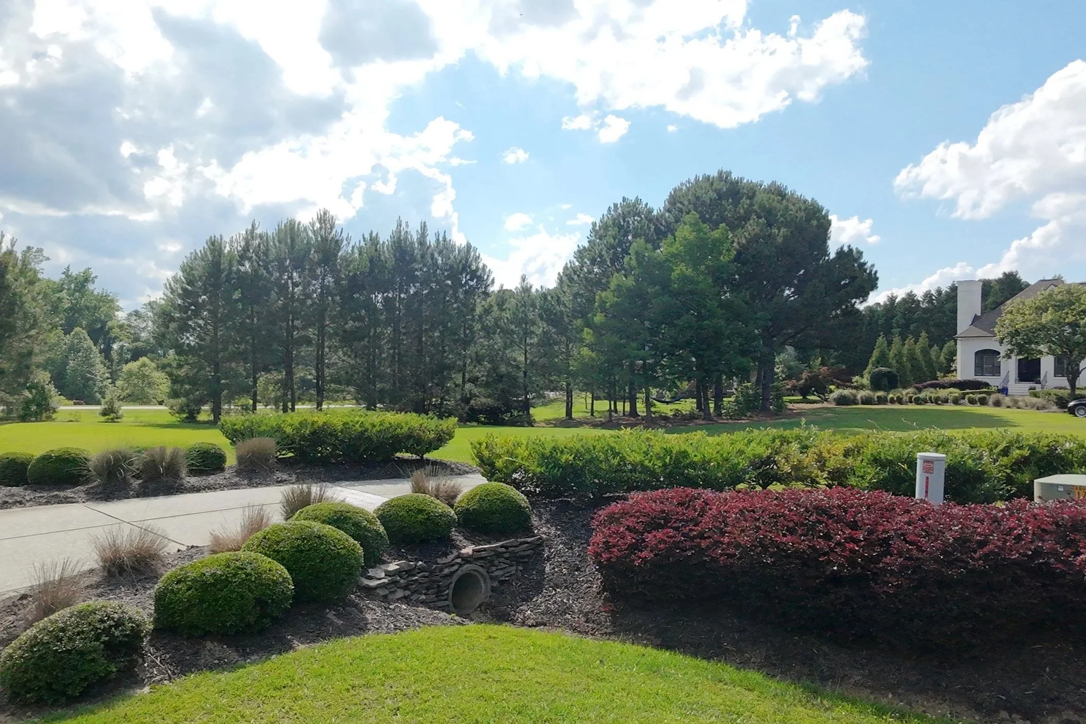 Hedge And Shrub Maintenance