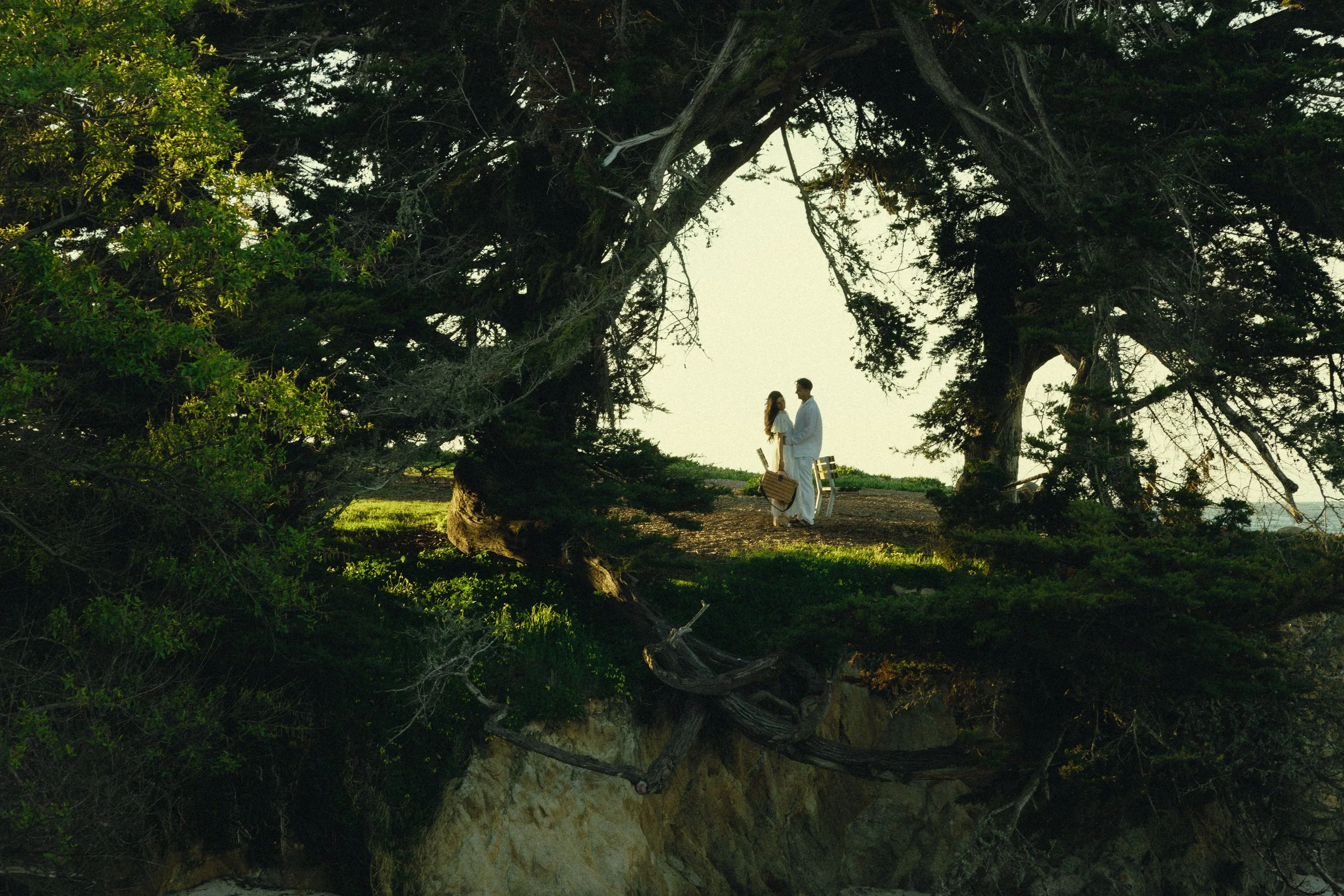 Photo Mar 18 2025, 10 11 21 AM.jpg