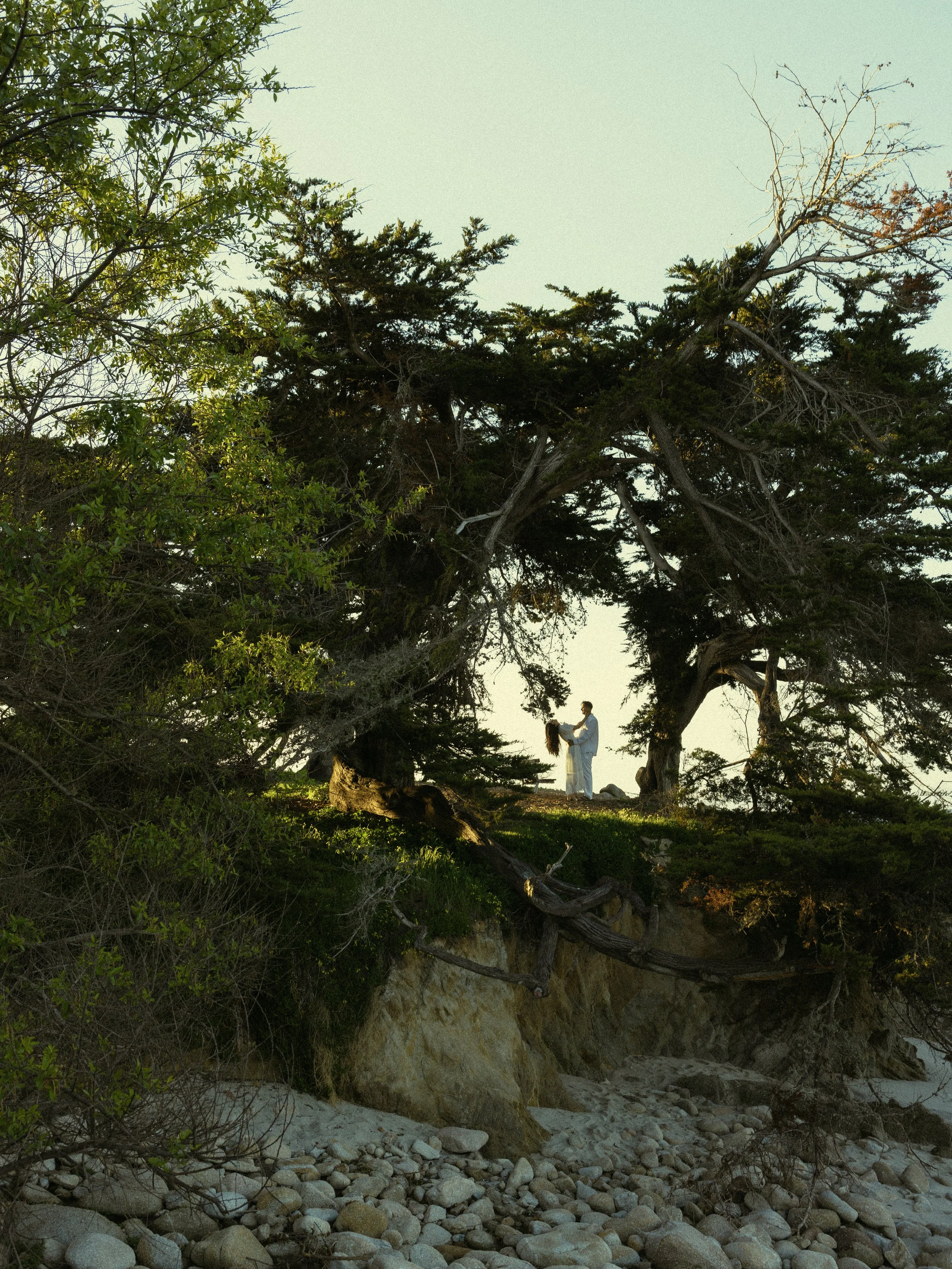 Photo Mar 18 2025, 10 12 27 AM.jpg