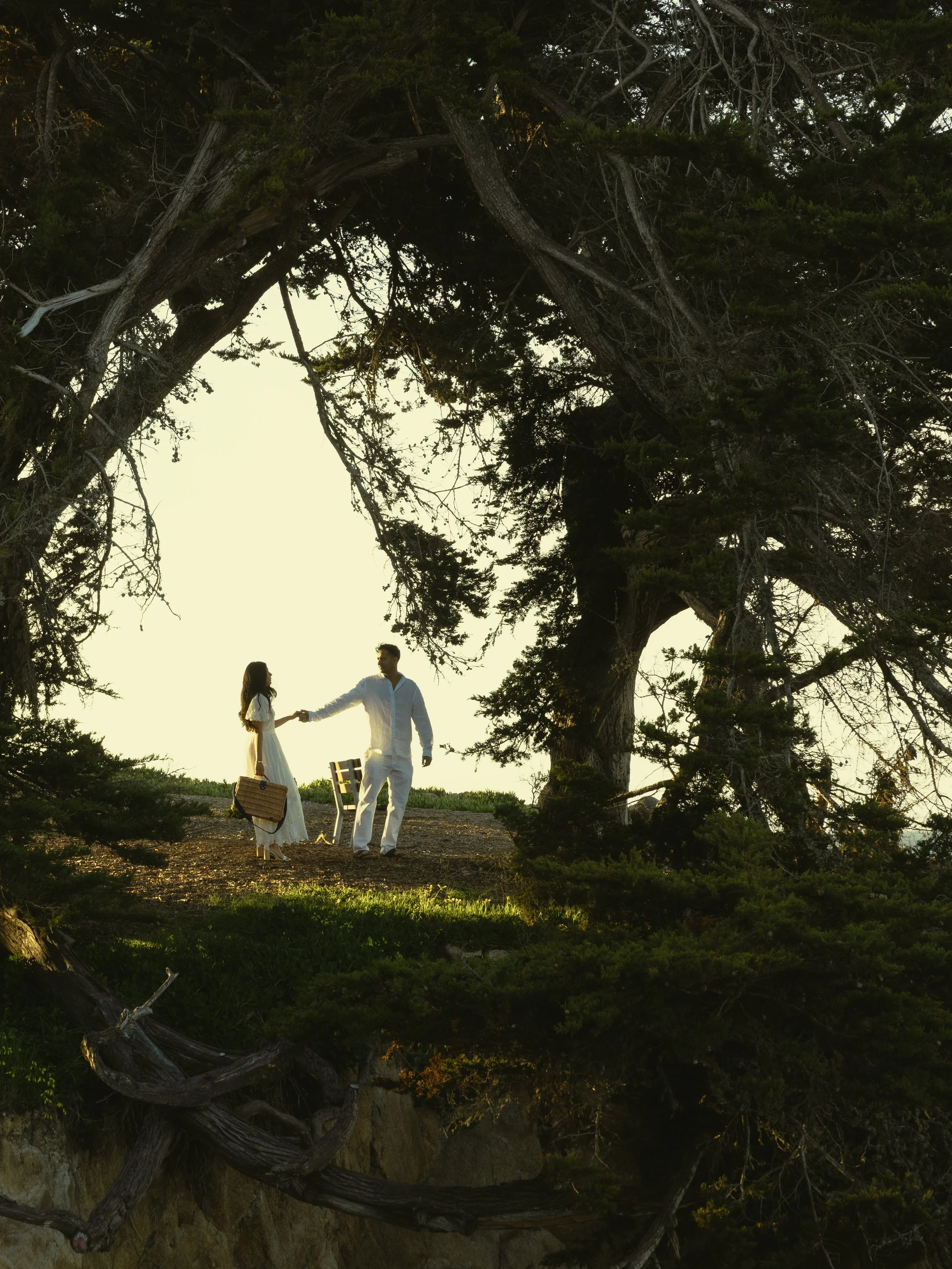 Photo Mar 18 2025, 10 11 07 AM.jpg