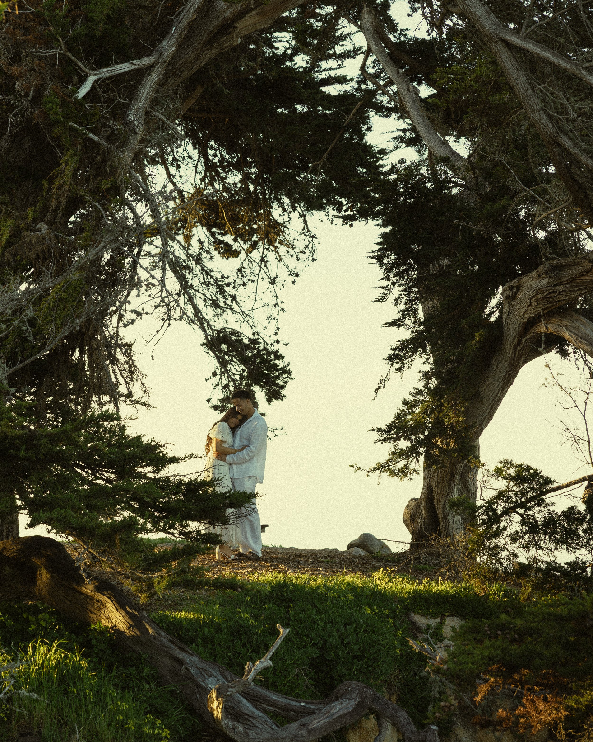 Photo Mar 18 2025, 10 12 02 AM.jpg