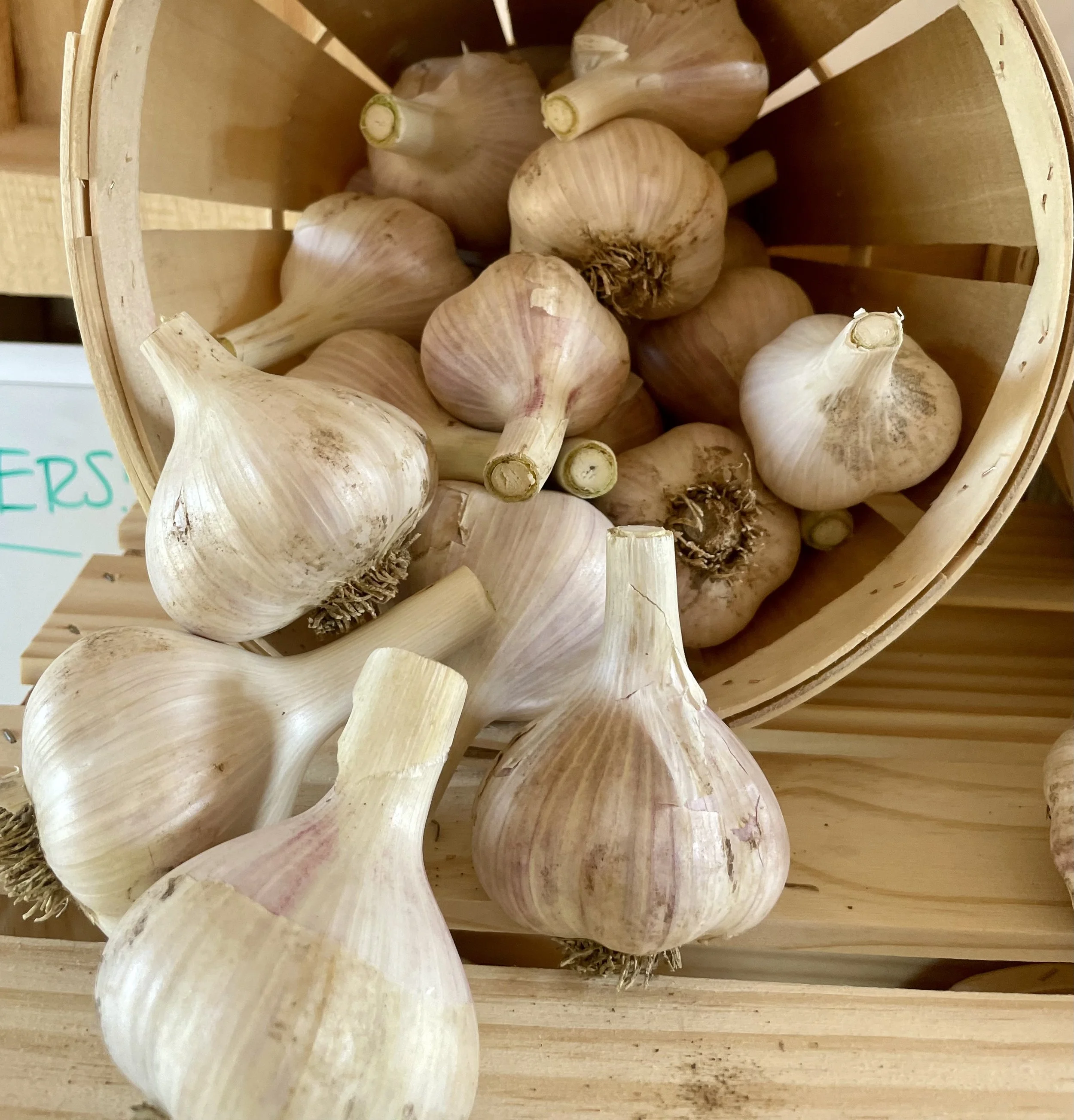 Garlic bulbs inside a wooden basket.