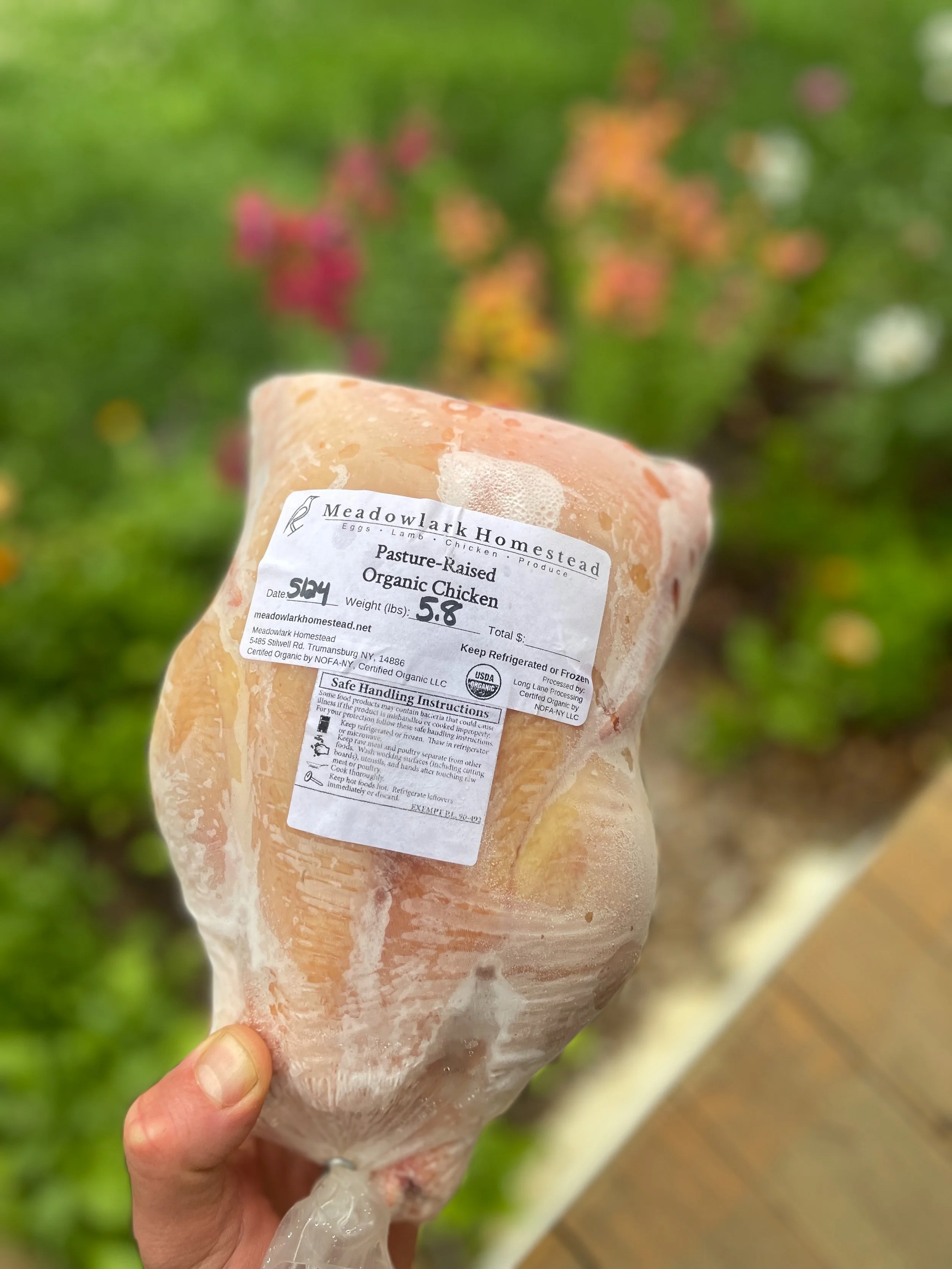 Frozen package of pasture-raised organic chicken from Meadowlark Homestead, with a label showing weight and instructions, held outdoors with a garden background.