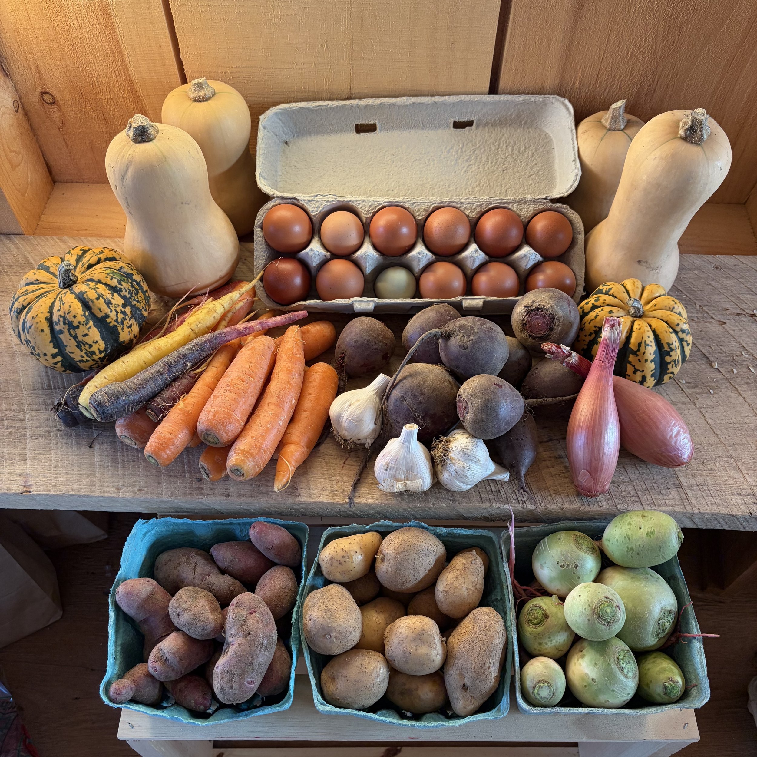 A variety of fresh vegetables and eggs arranged on a wooden table. There are butternut squashes, gourds, carrots, garlic, beets, onions, potatoes, and turnips, with a carton of brown eggs in the center.