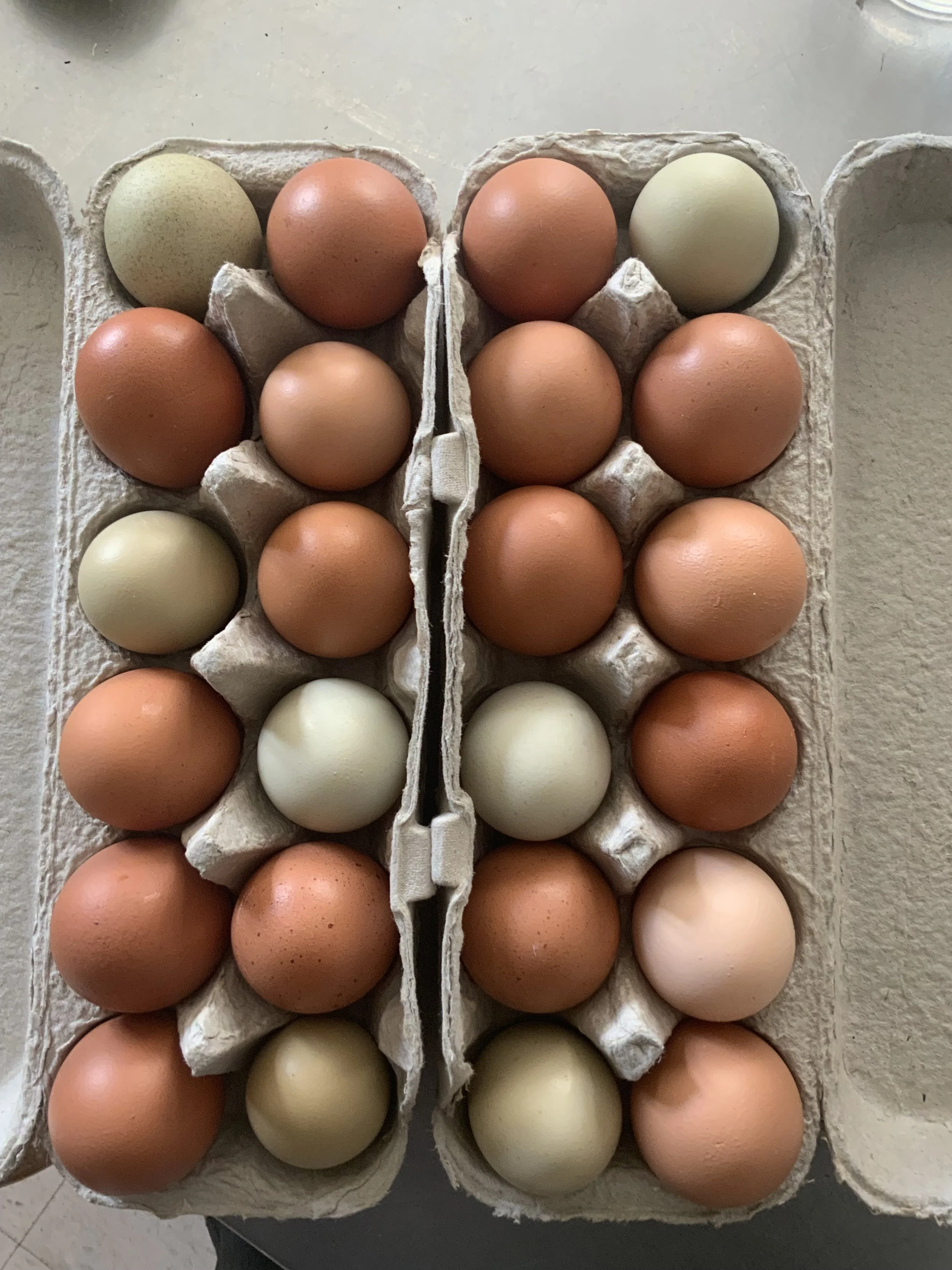 A carton of assorted eggs on a light gray surface, with eggs in shades of brown, white, and speckled, arranged in four rows.