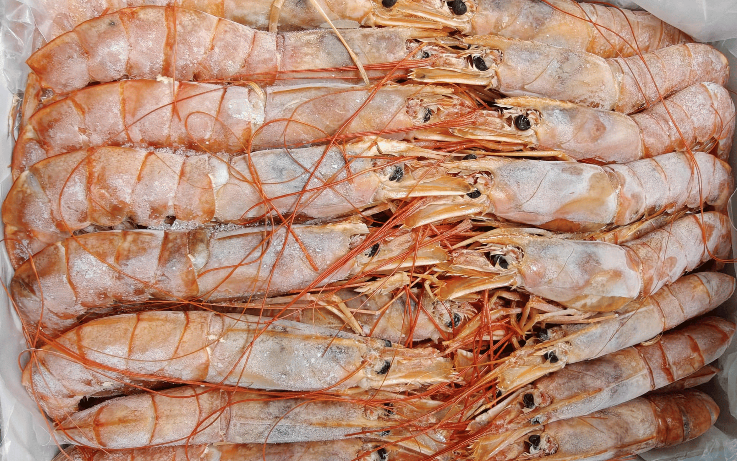 Scarlet Prawns from Argentina are famous for having a sweet, rich flavor and a plump, meaty texture that closely mimics lobster.