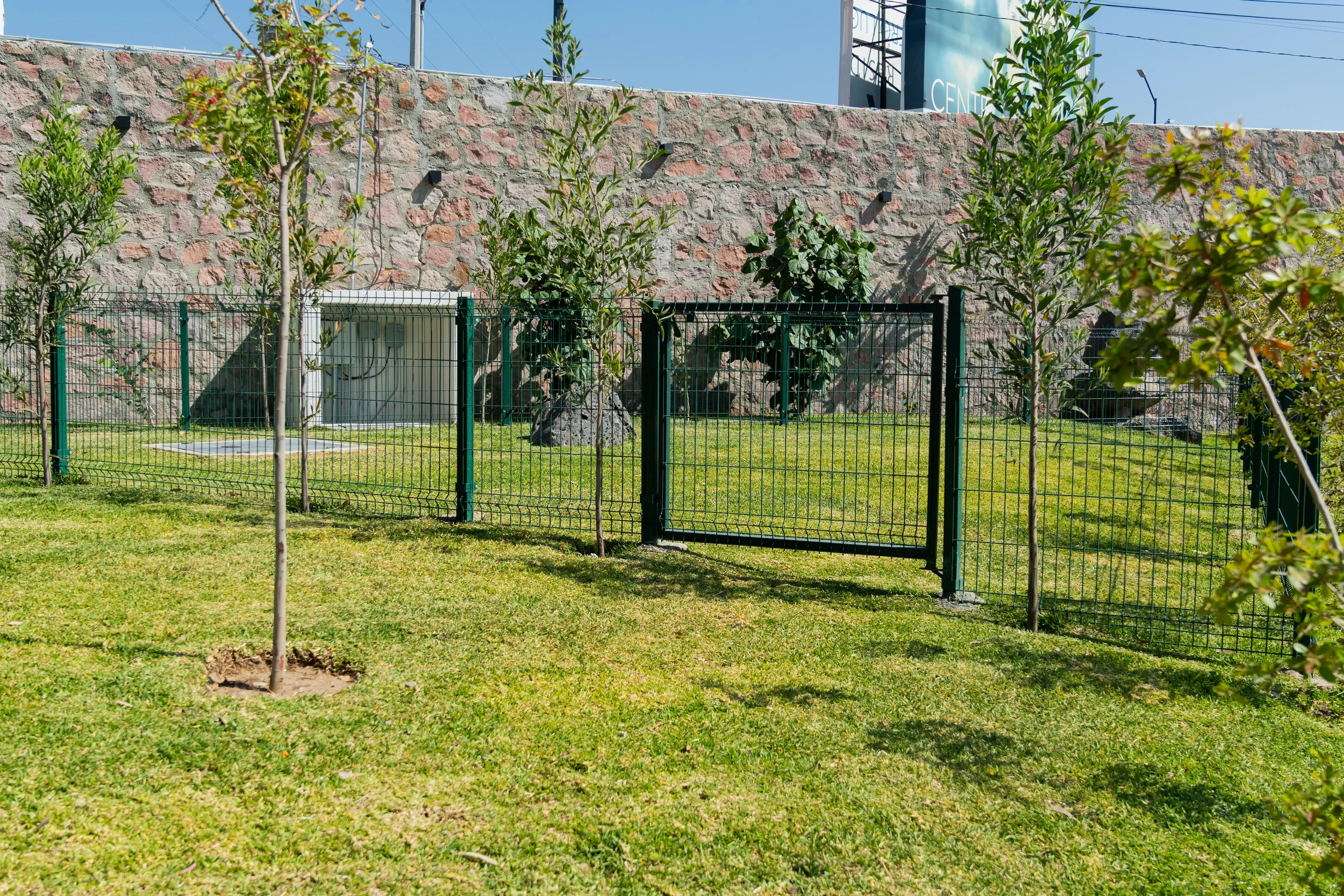 A small fenced-in grassy yard with young trees and garden plants against a stone wall, with a blue sky above.