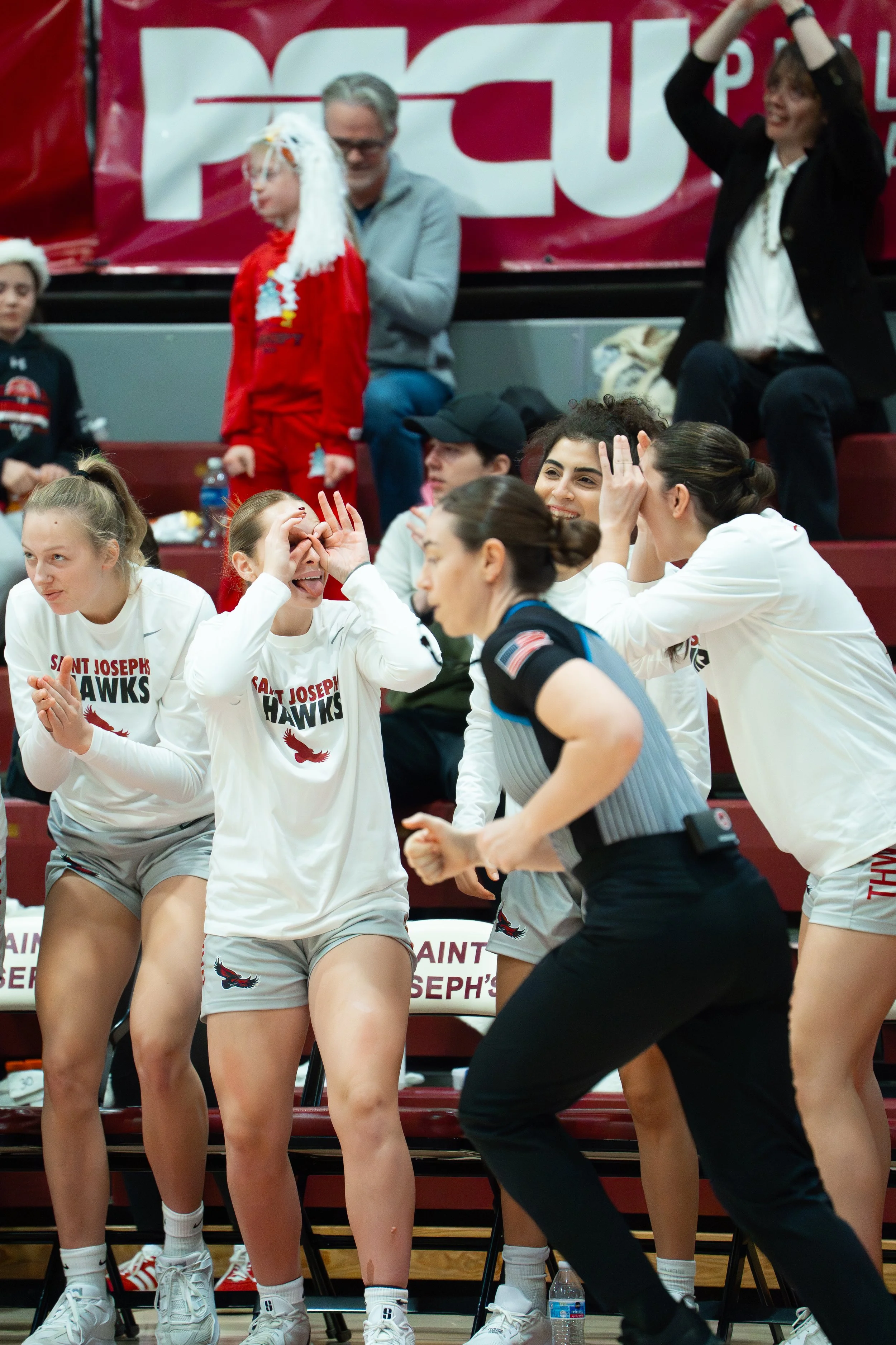 Female volleyball players in white jerseys with 'Saint Joseph Hawks' text celebrating on the bench during a game. Two women are cheering with hands near their faces, one is leaning forward with fists clenched, and another appears to be whispering. Pe