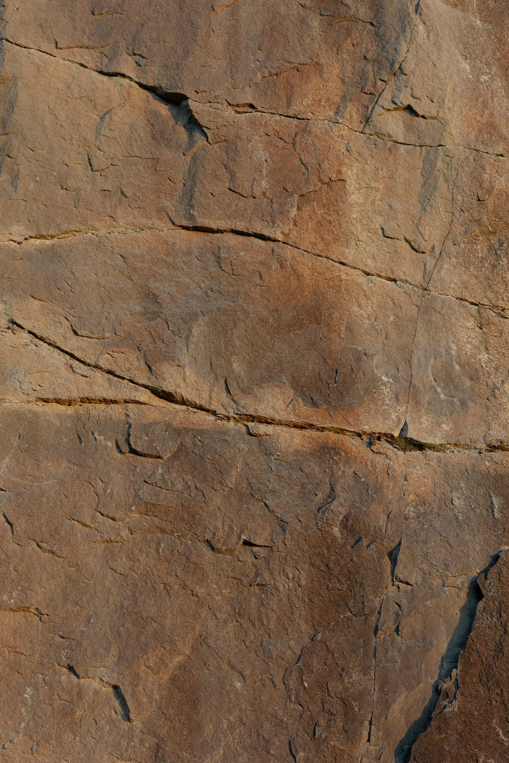 Close-up of a textured brown stone surface with cracks and rough patches.