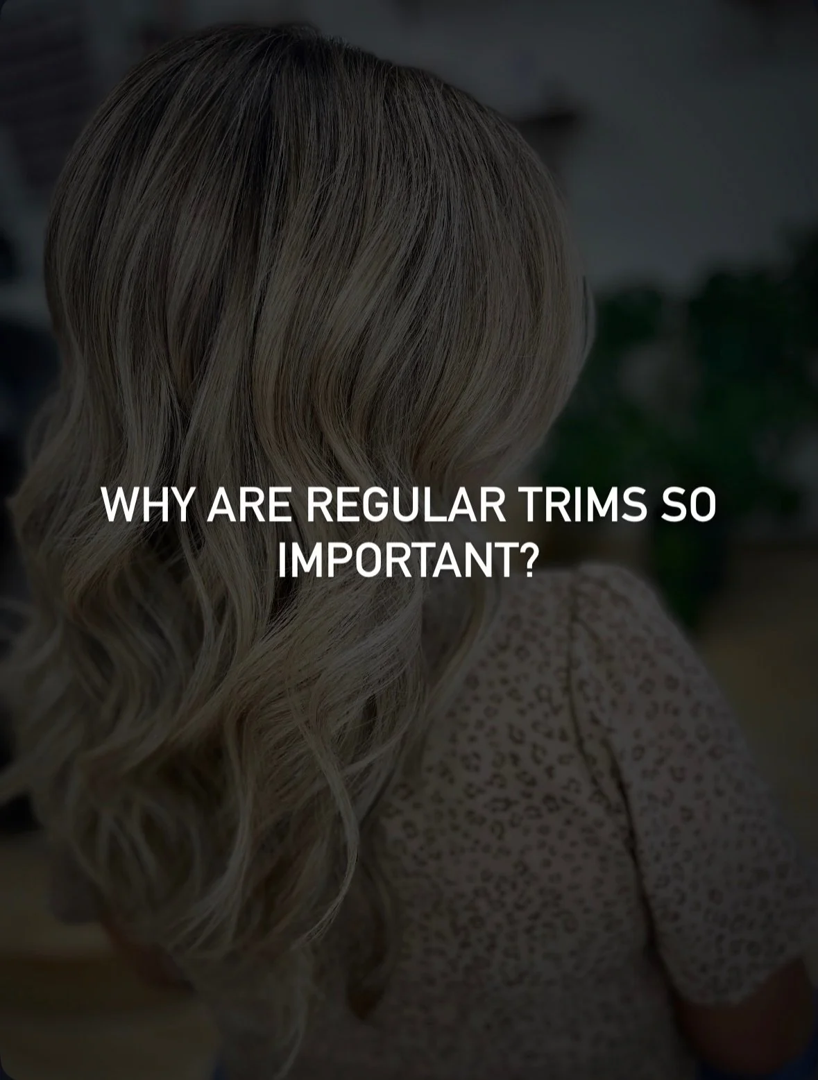 For longer hairstyle maintenance, I recommend getting a haircut between 3-4 months&mdash;3 months to maintain length and 4 months if you want to keep growing your hair a little longer. 

Shorter hairstyles typically need more maintenance if the goal 