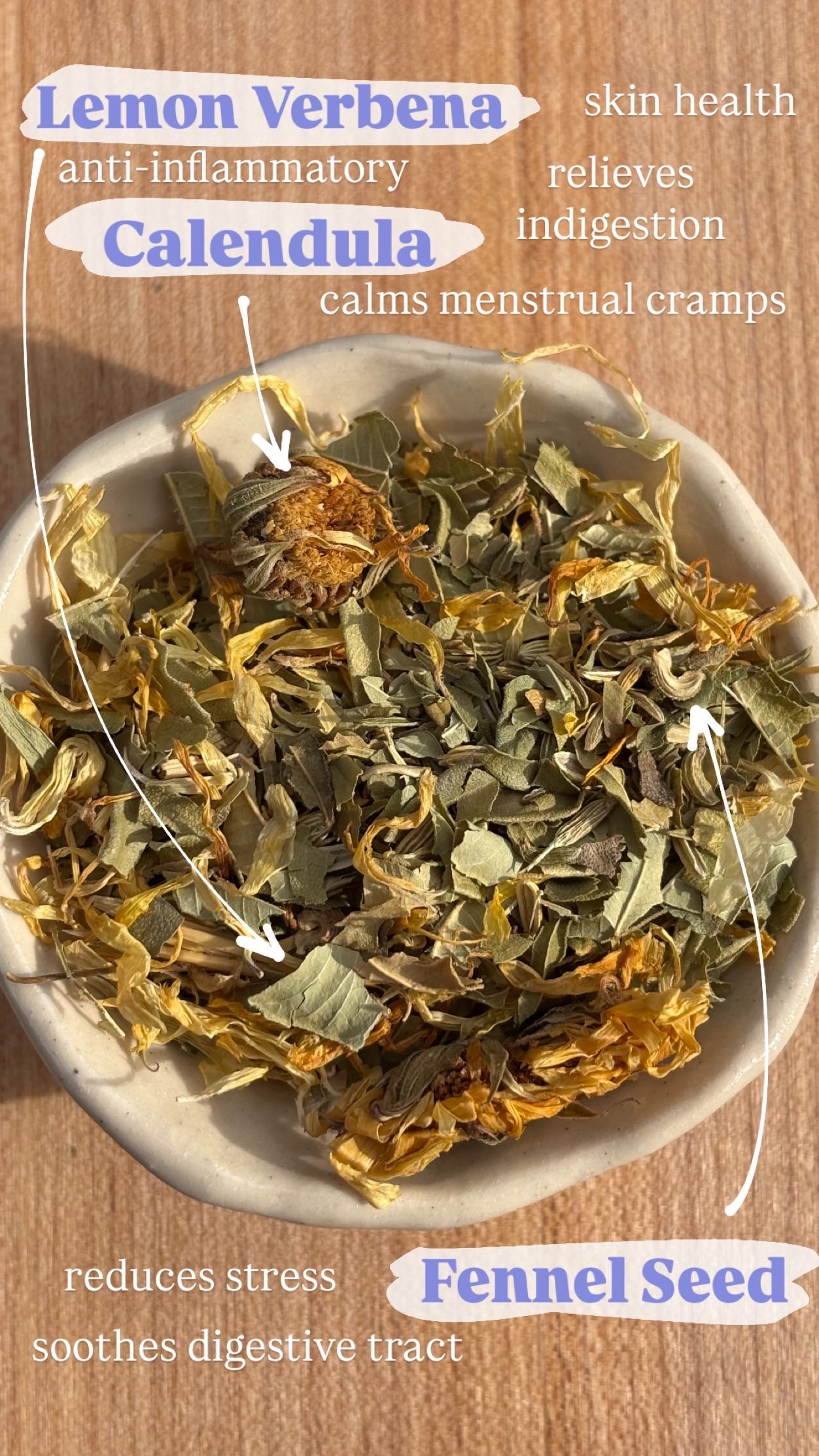 276D69E6-40F3-42DC-8EEB-0B28F0CC5483.JPG