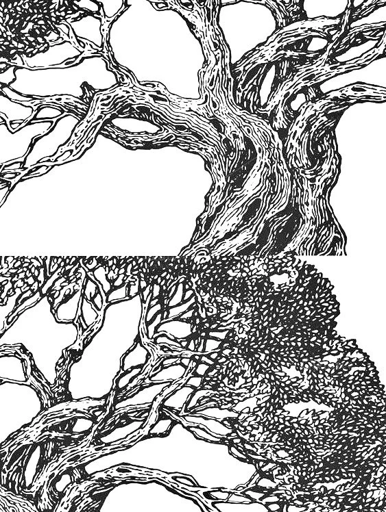 sometimes observable