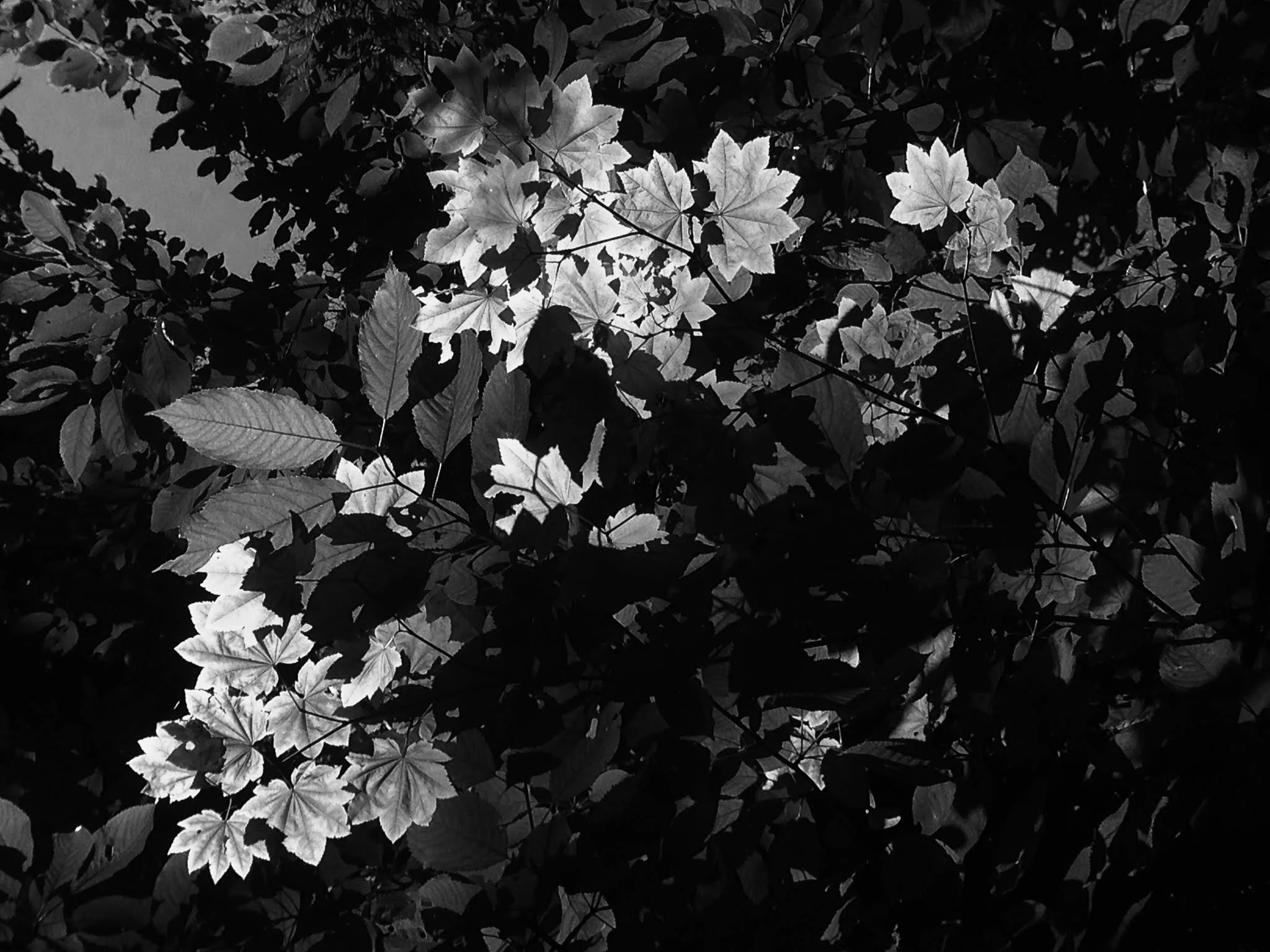 overhead | underfoot