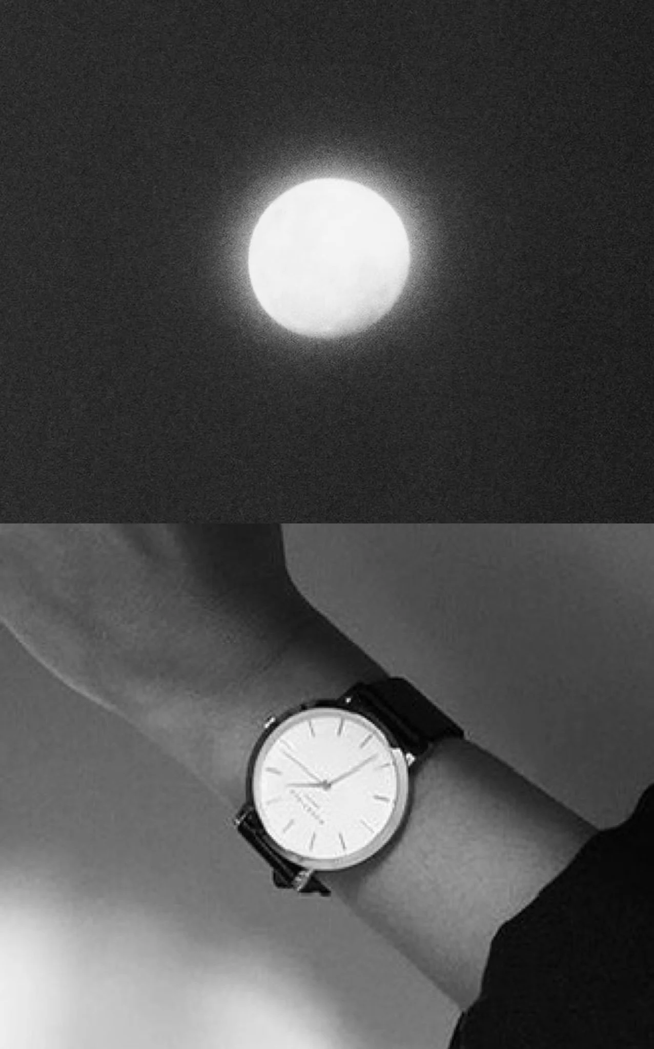 forever + never