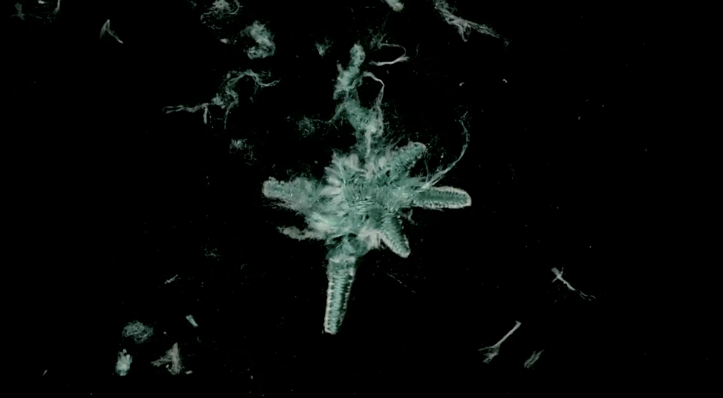 Screenshot 2026-01-20 at 10.59.21 PM.png