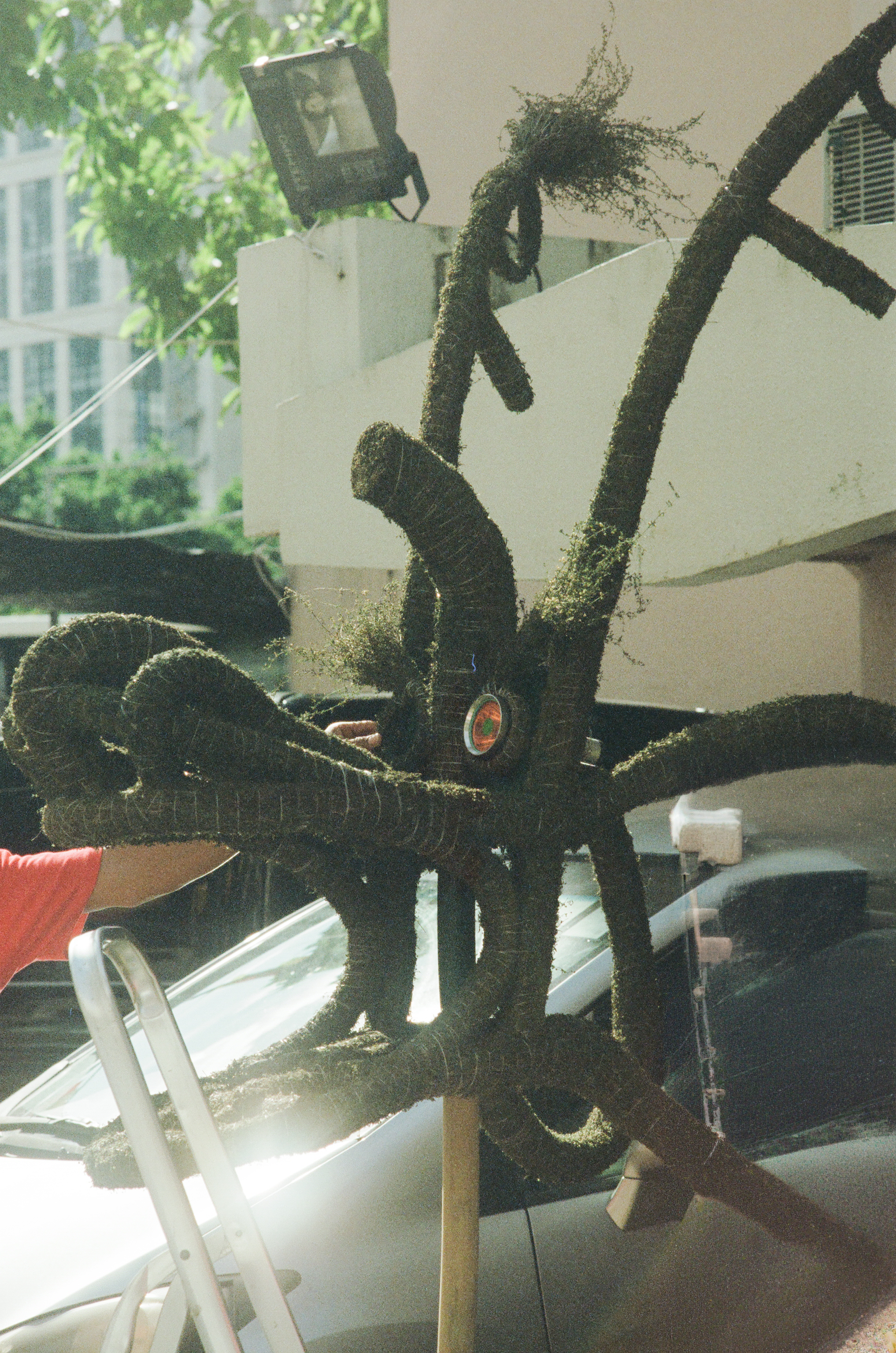 dragon no man.png
