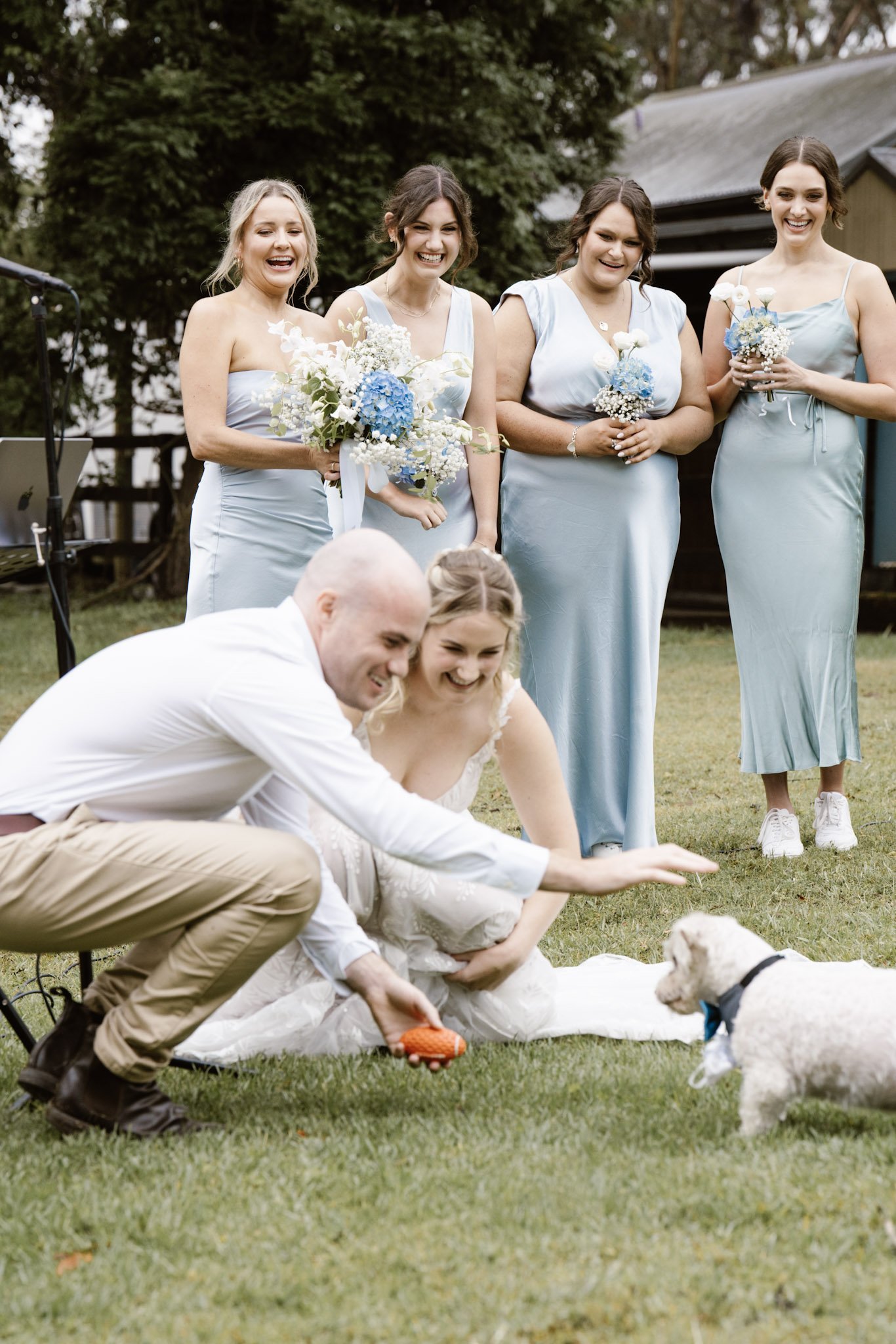 A wedding scene with a bride and groom sitting on the grass, playing with a small puppy. Four bridesmaids in light blue dresses are standing behind them, holding bouquets and smiling.