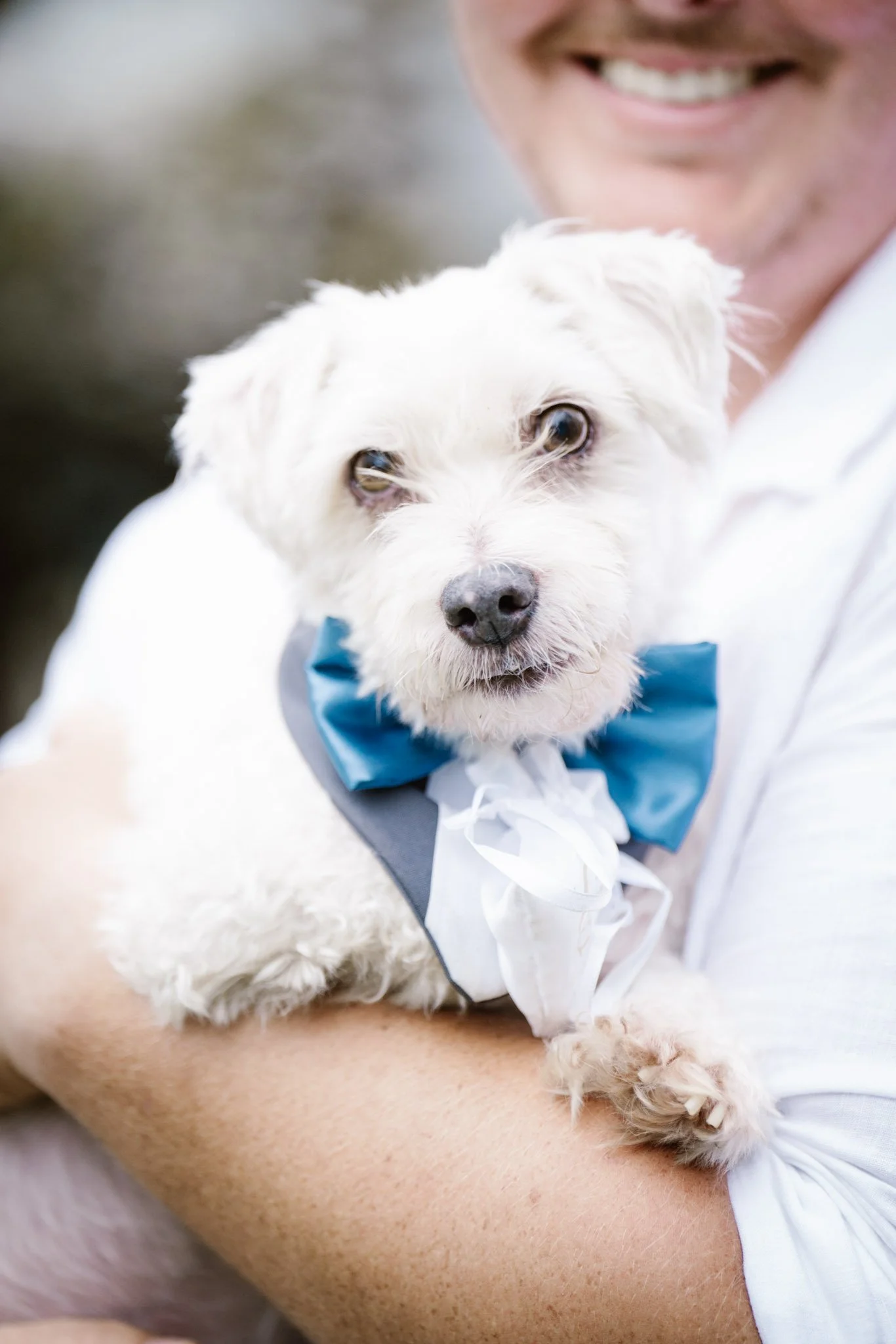 A person smiling holding a small white dog wearing a blue bowtie.