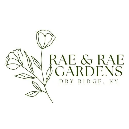Rae &amp; Rae Gardens