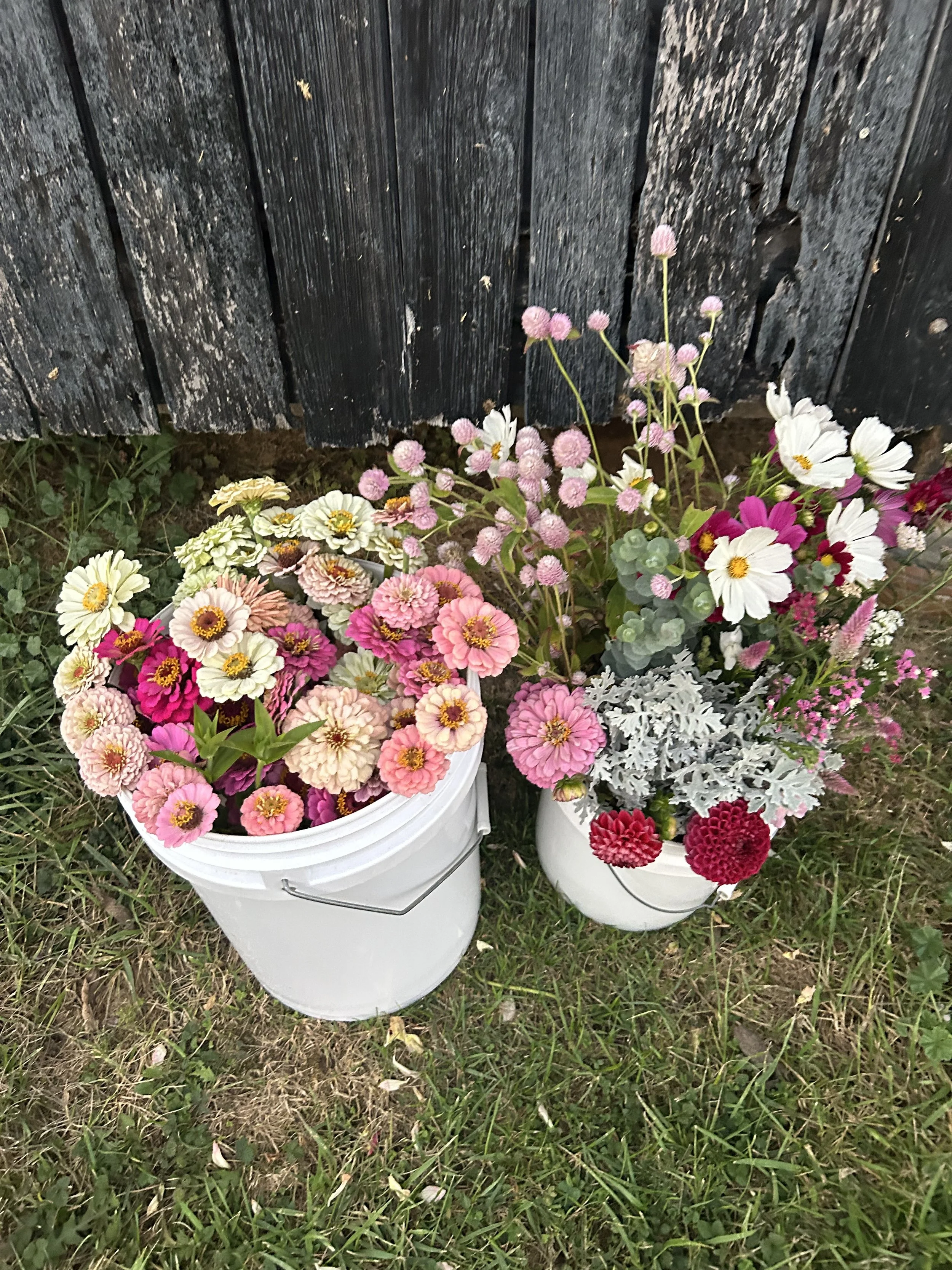 DIY Buckets