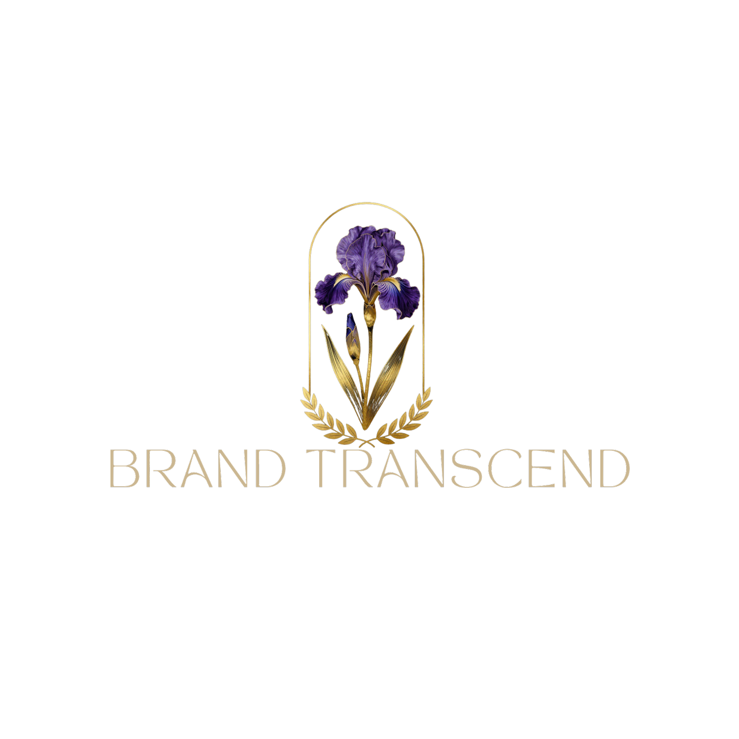 Brand Transcend Studio