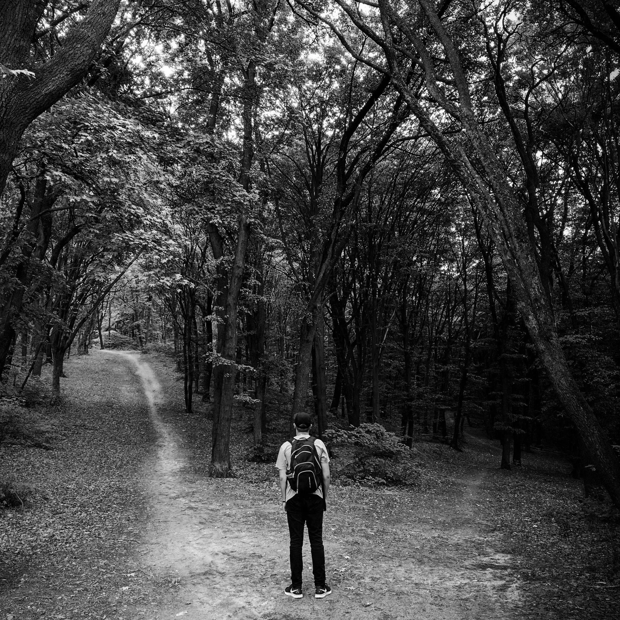 A person with a backpack standing on a forest trail surrounded by tall trees, black-and-white image.