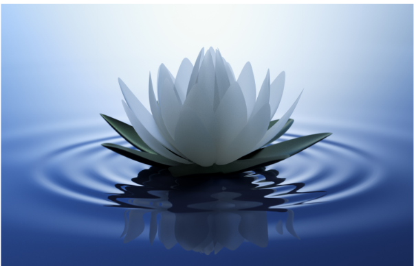 Wednesdays 45‑min Virtual Sound Bath reset for Your Heart.