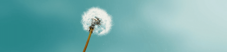 brandLoop2014_UW_01mon_v06 (1).gif