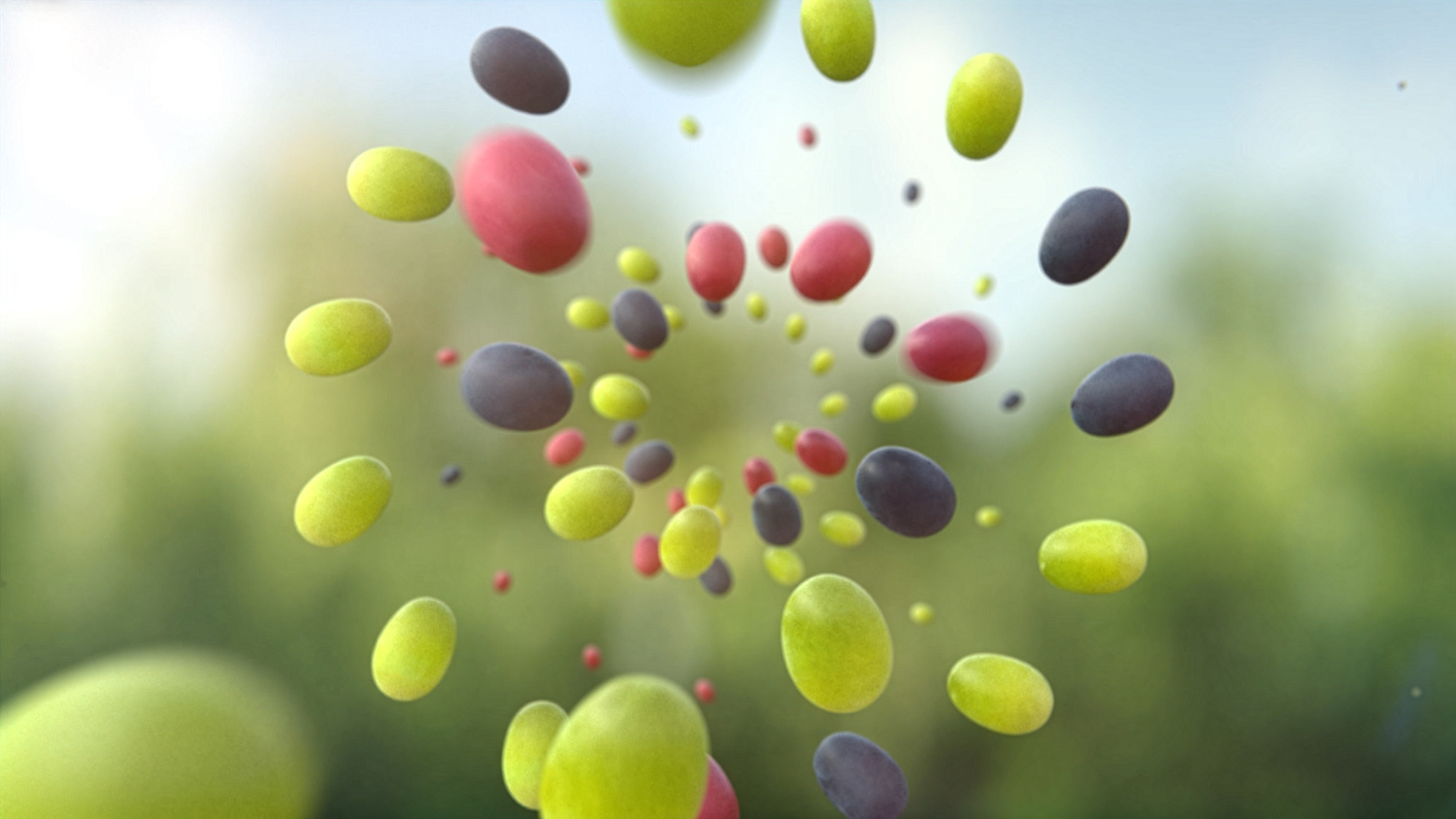 CALIFORNIA GO GRAPES (3D)