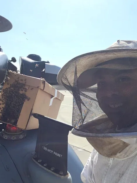 A person wearing a beekeeping suit and veil smiling at the camera, standing near a beekeeping box with bees on it, against a bright blue sky background.