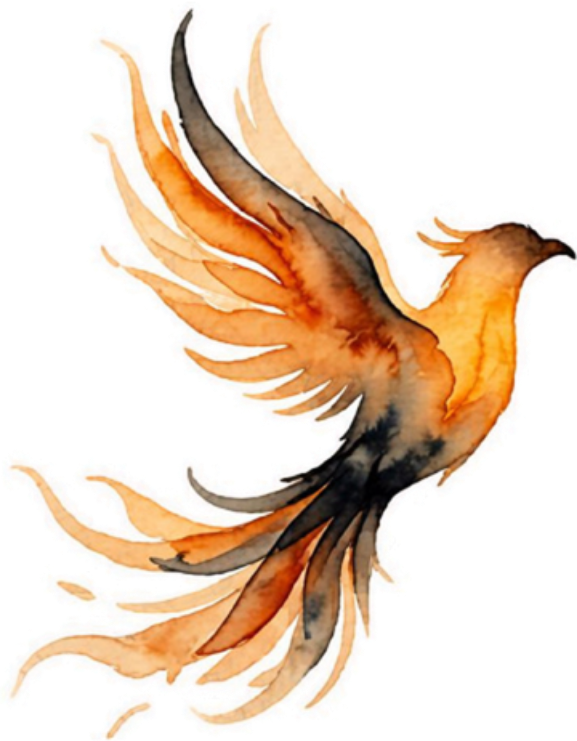 Watercolor painting of a bird with flowing tail feathers, in shades of orange, black, and beige.