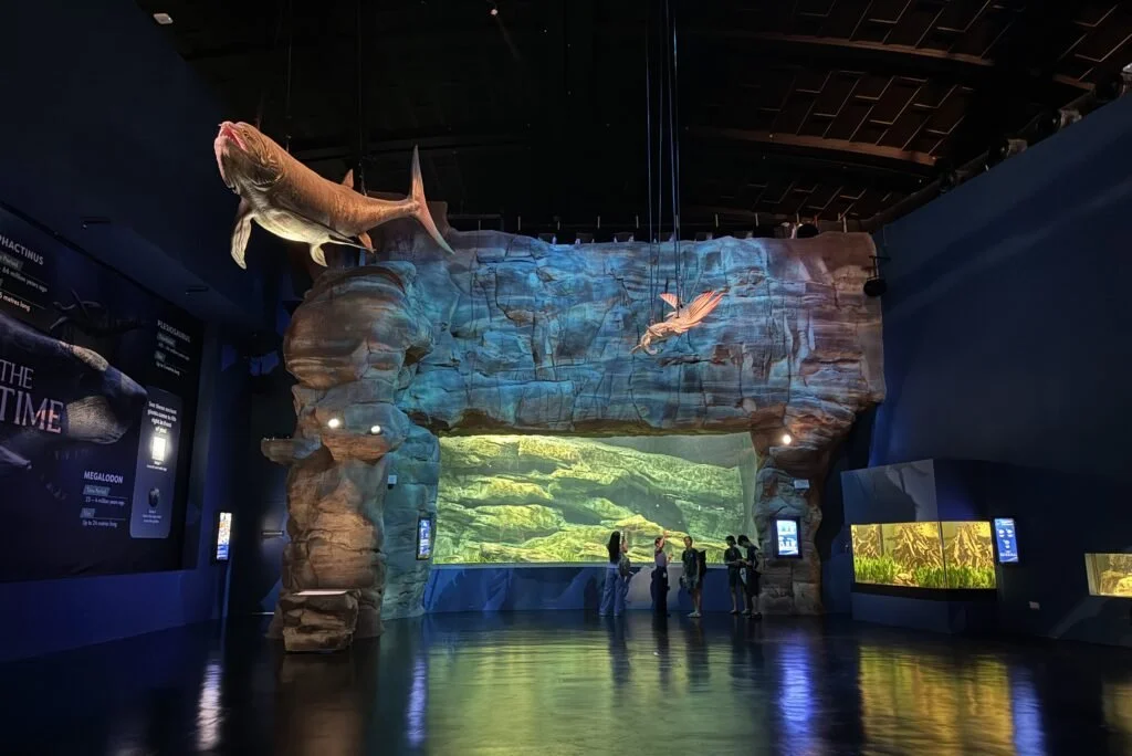 Lighting Programming