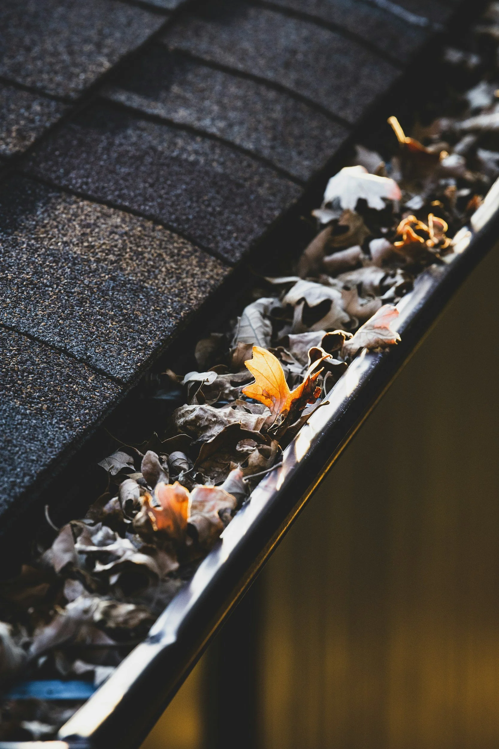 Close-up of a roof gutter filled with dried autumn leaves against shingles. What can happen if gutters are not maintained.