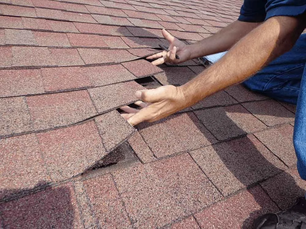 Person installing or inspecting asphalt shingles on a roof.
