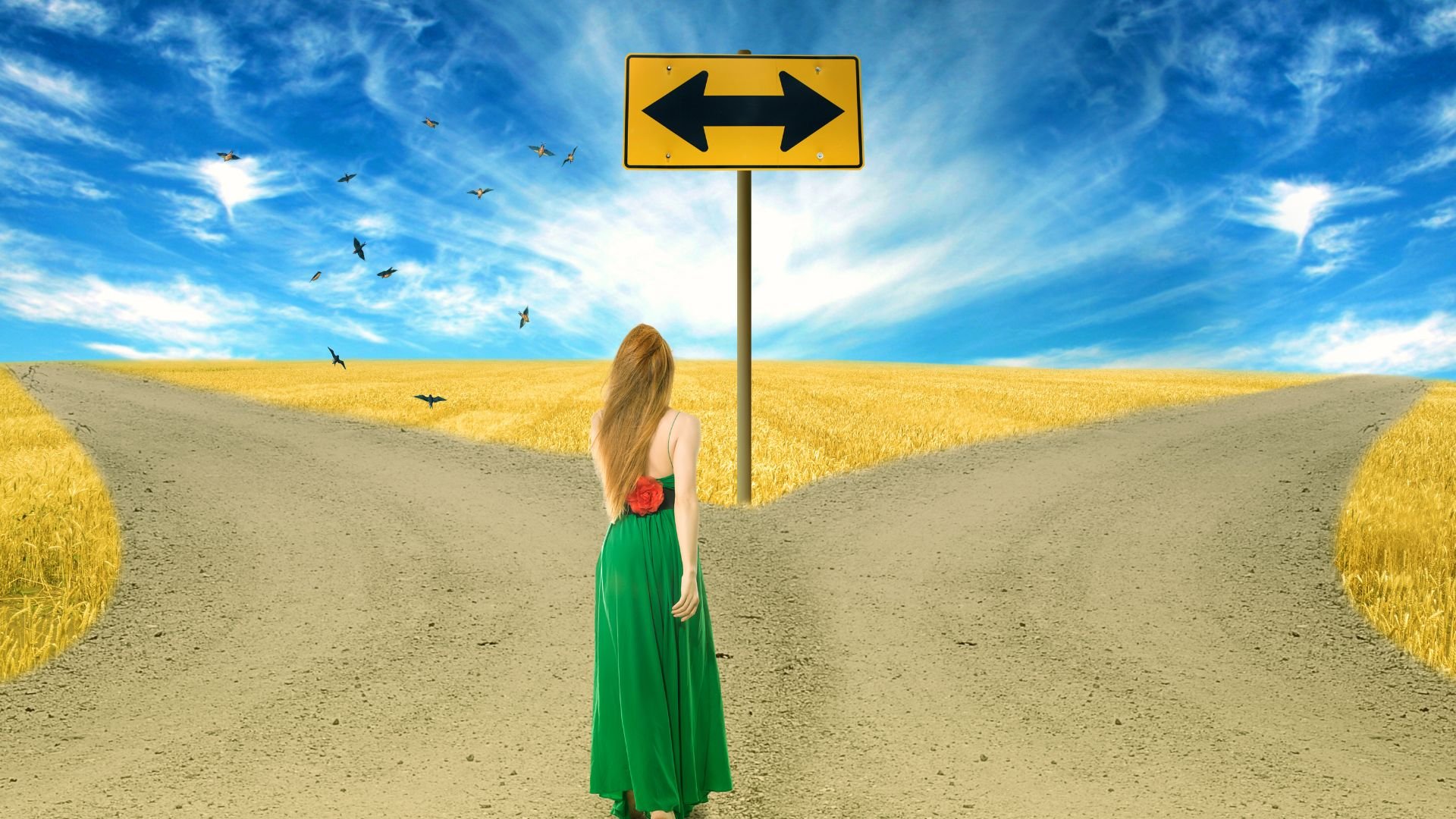 Is University Application Support Necessary?