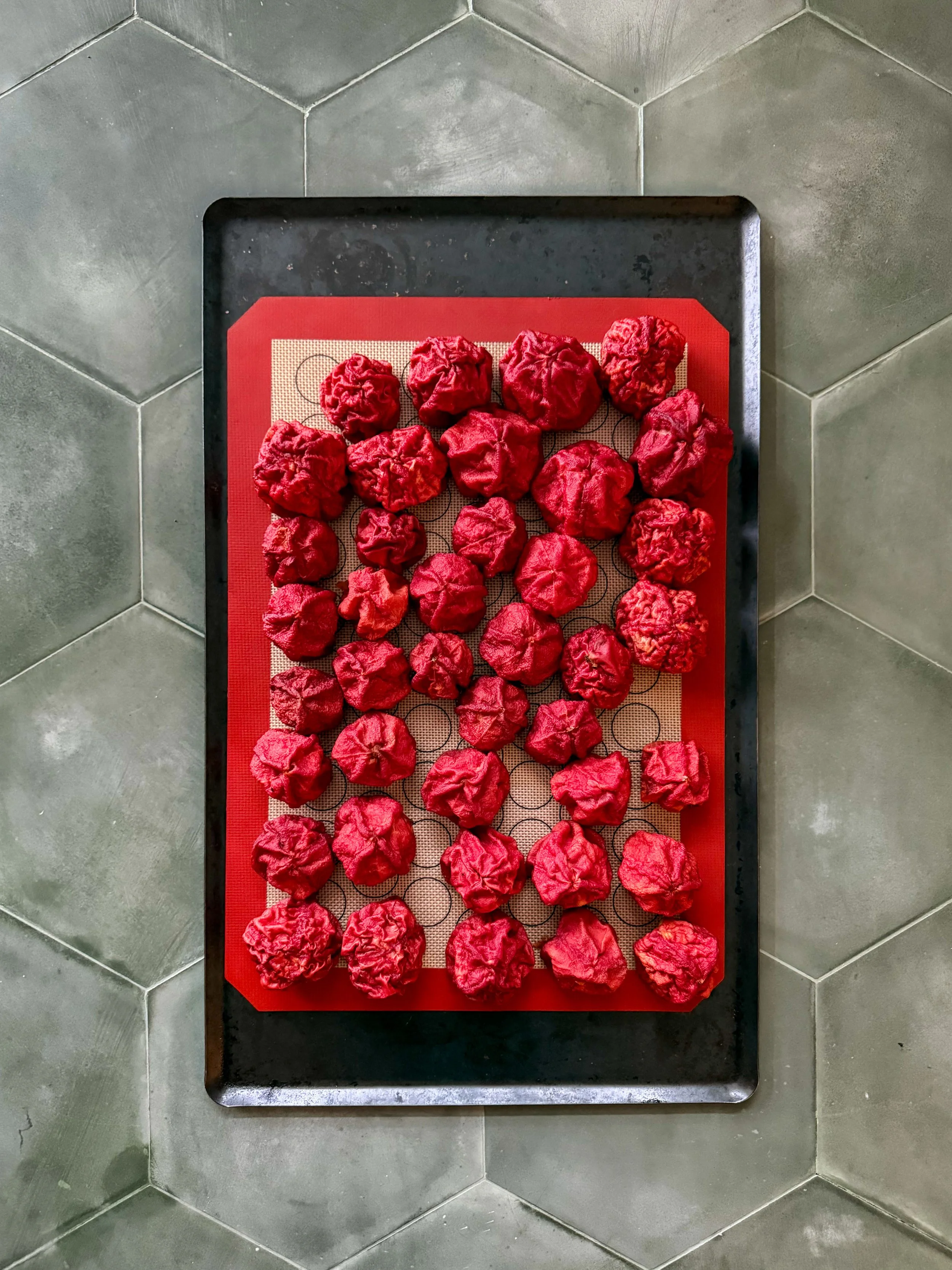 Photo 4-6-25, 18 12 26.jpg