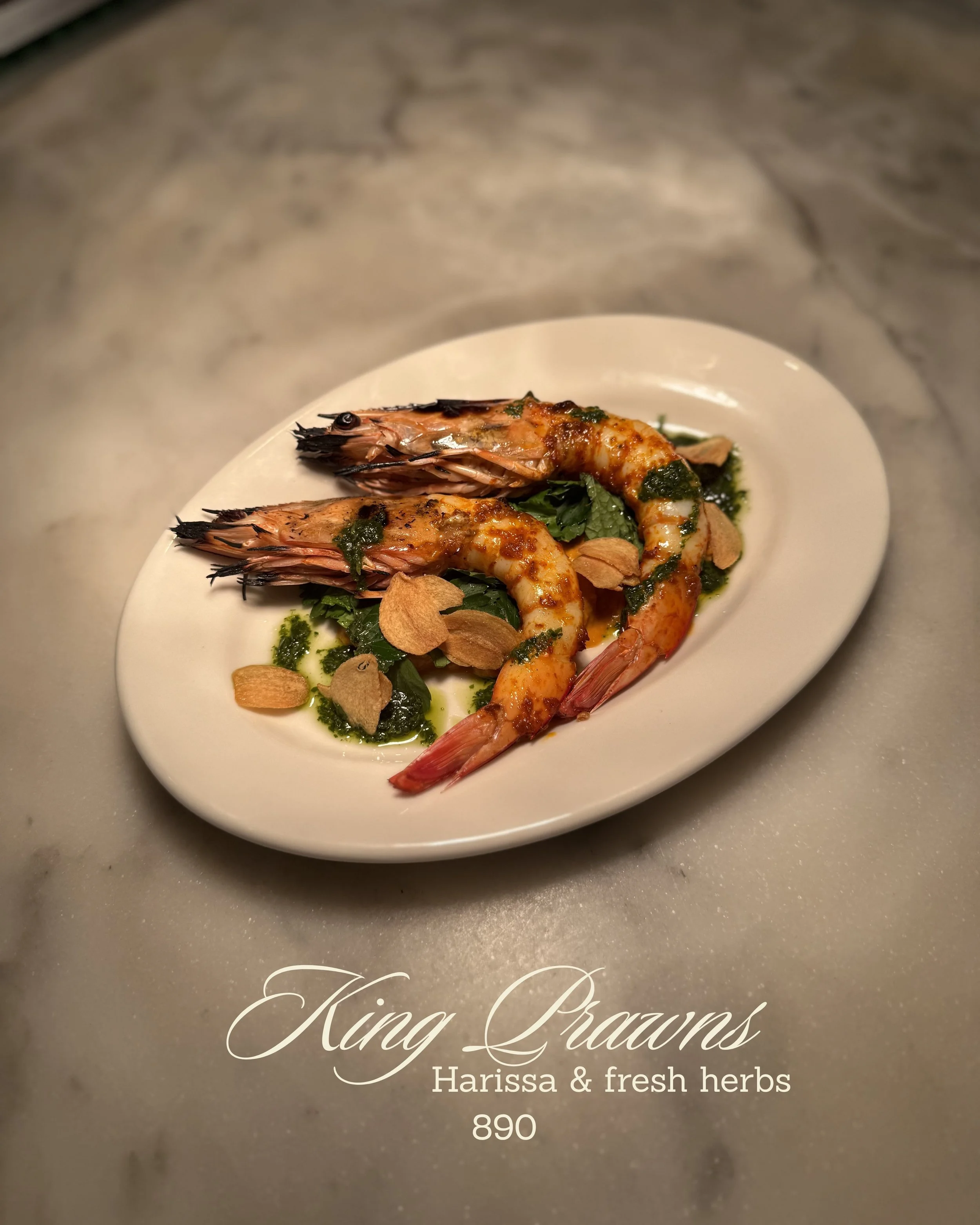 Your paragraph text-14.jpg