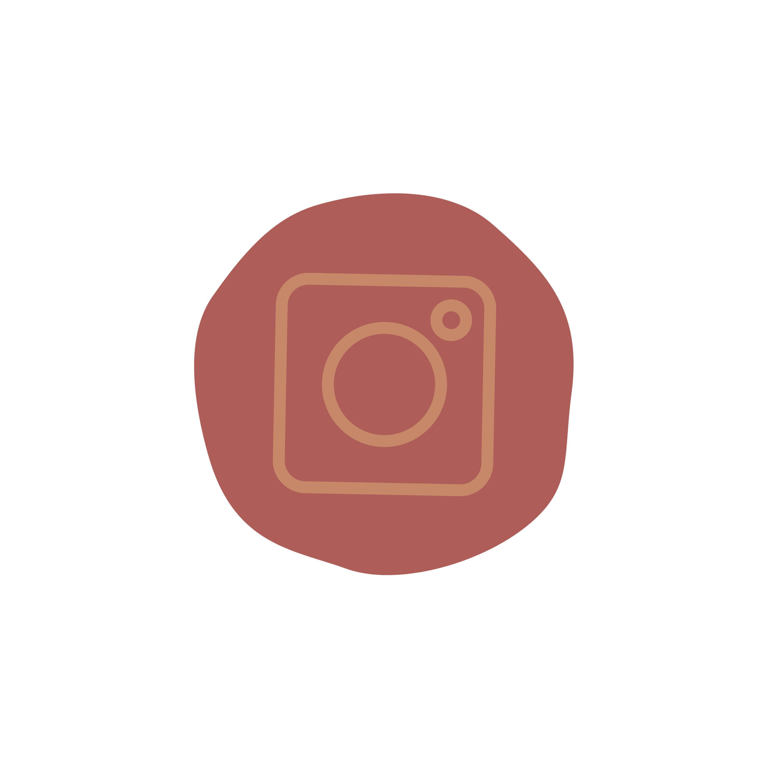 Minimalist icon of an Instagram camera inside a brown circle on a black background.