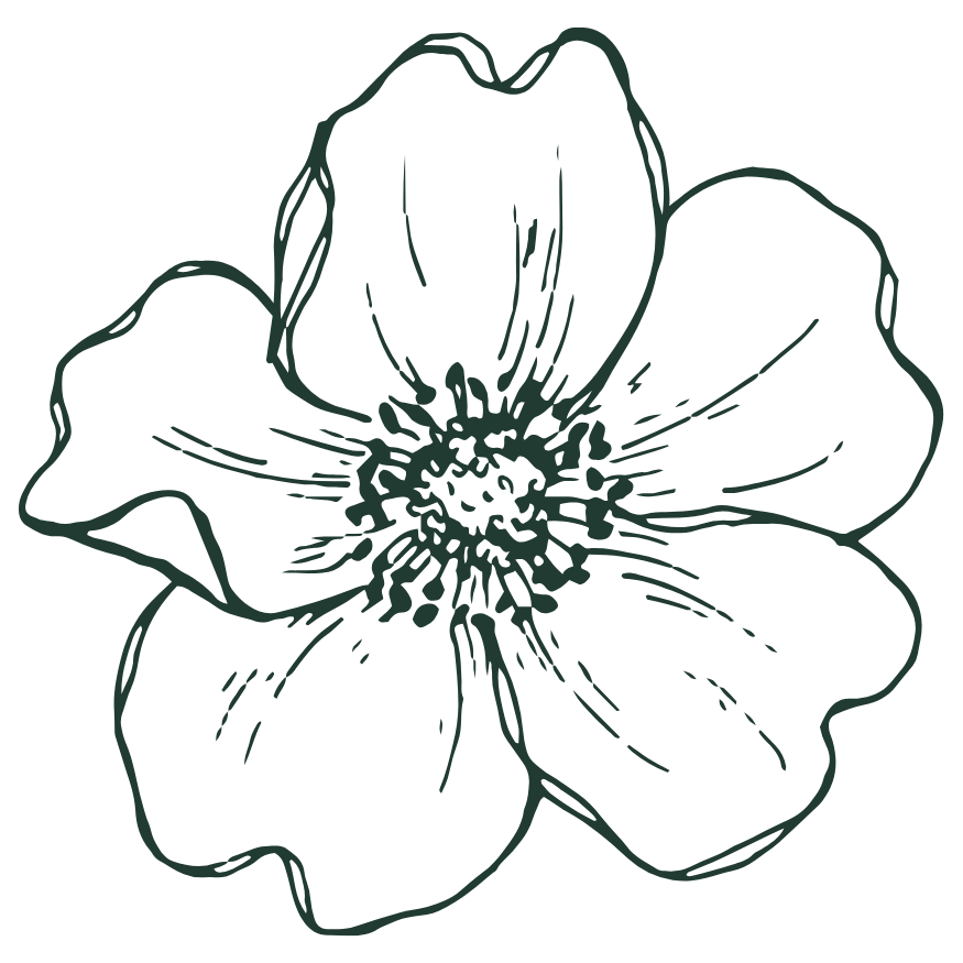 Resilient Roots Psychology