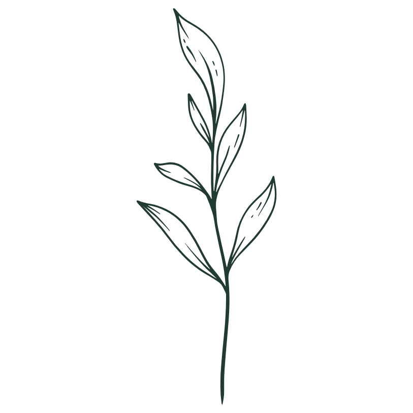 Resilient Roots Psychology