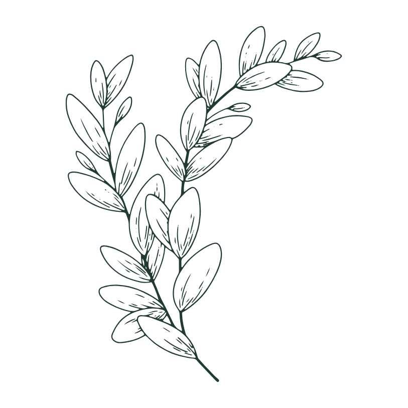 Resilient Roots Psychology