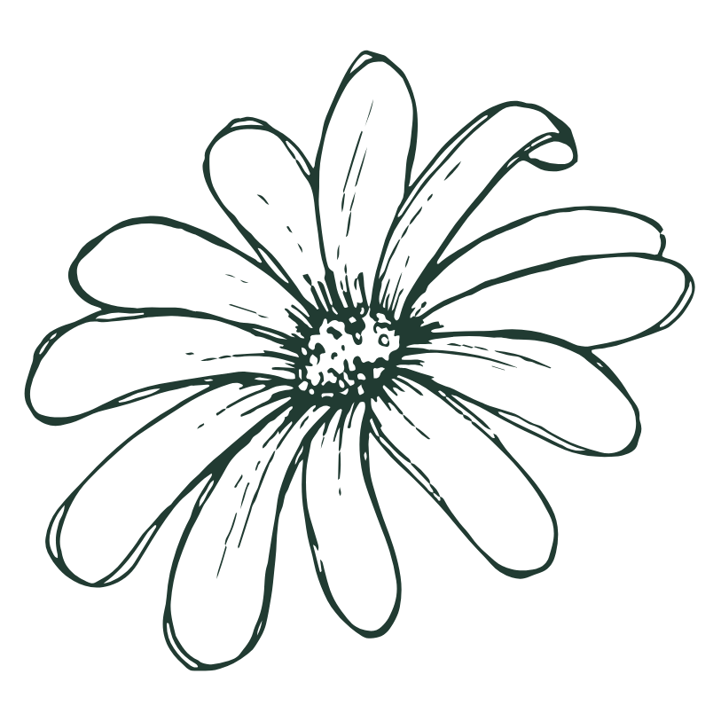 Resilient Roots Psychology