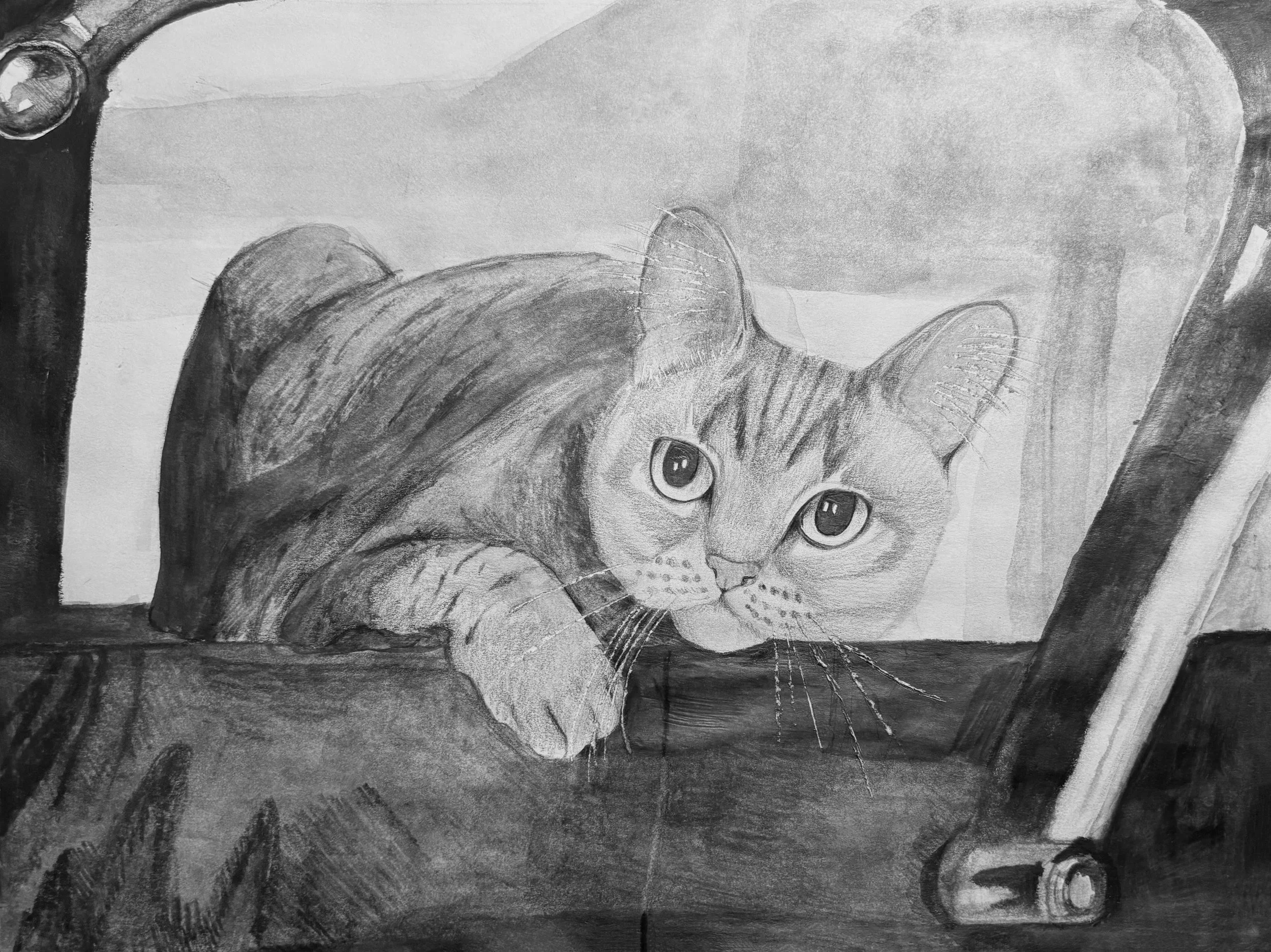 Abby, 2025, 9x12"

Water soluble graphite