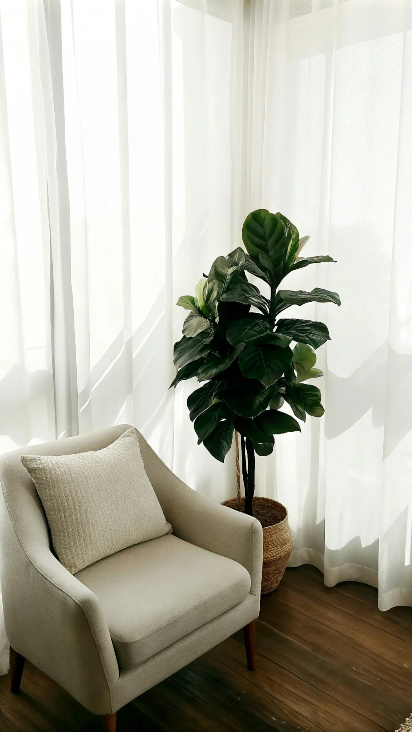 Alicia Firth Psychology Therapy Assessments Adults Online Kingaroy