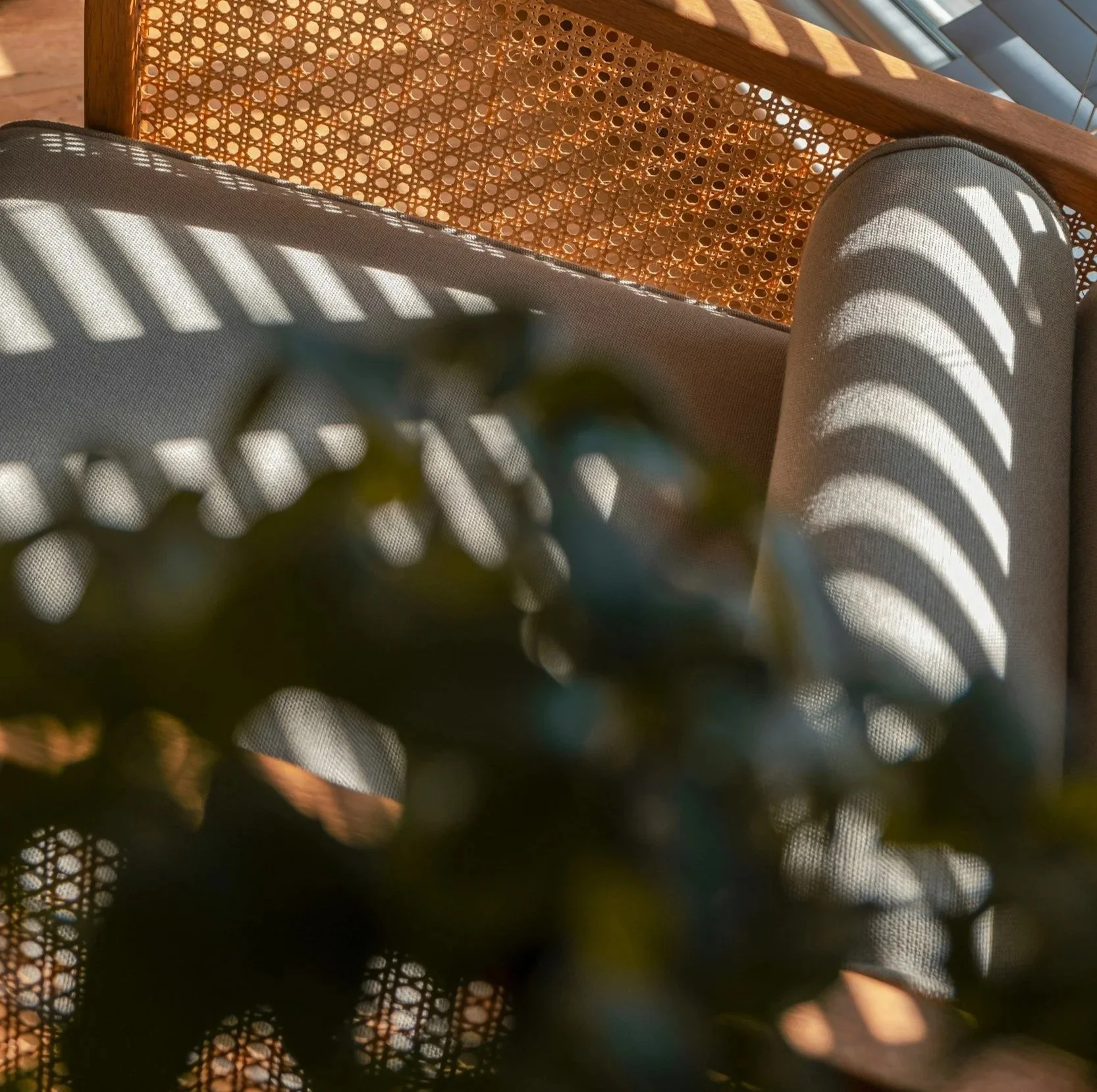 Alicia Firth Psychology Therapy Assessments Adults Online Kingaroy